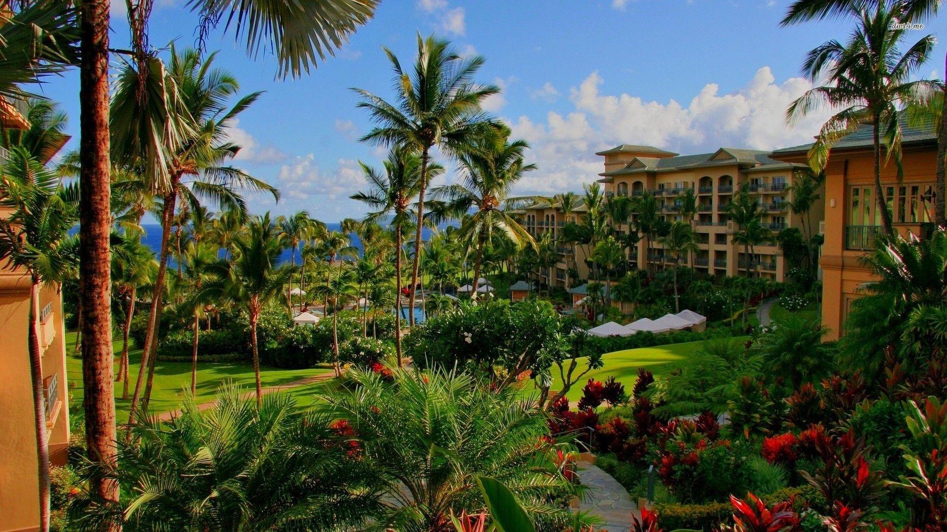 1920x1080 Flowers: World Hotel Beautiful Flowers Hawaiian Grass Trees Flower