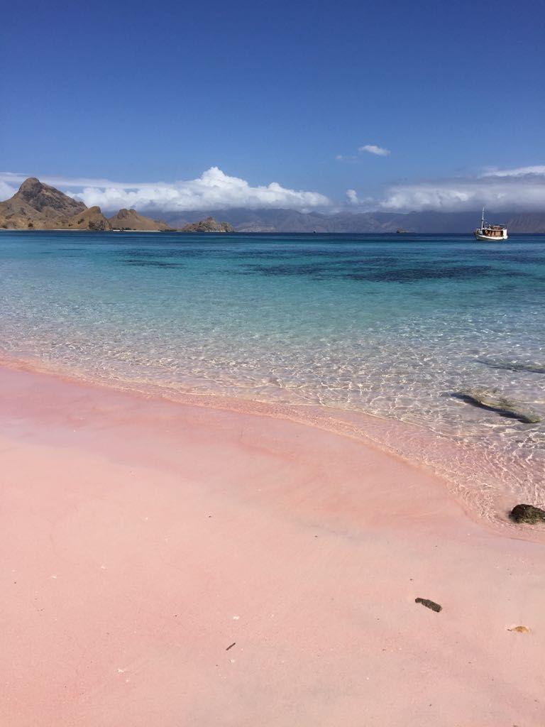 768x1024 Long Beach, Pink Beach, Labuan Bajo Indonesia. Fotografi Alam, Perjalanan, Bali
