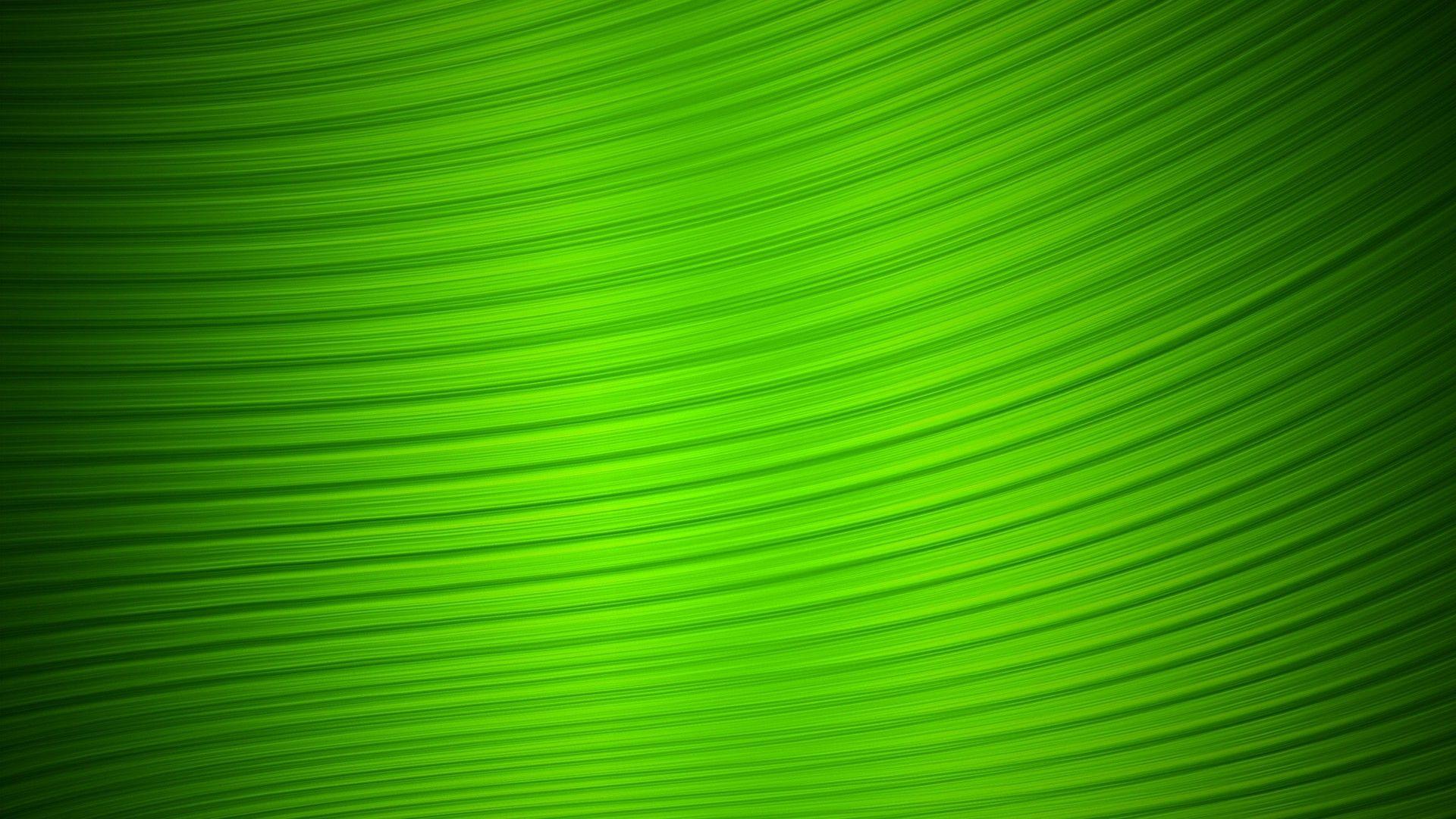 Green Colour Wallpapers Top Free Green Colour Backgrounds WallpaperAccess