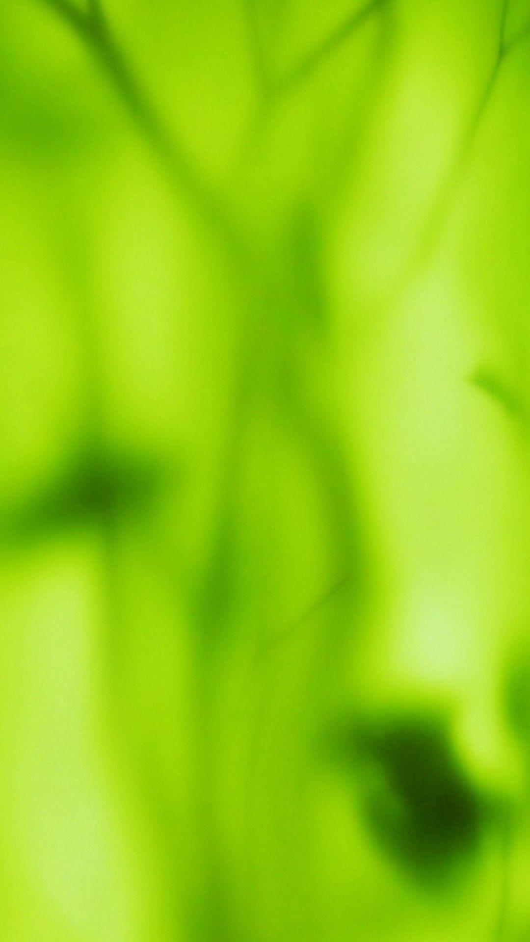 Green Colour Wallpapers Top Free Green Colour Backgrounds