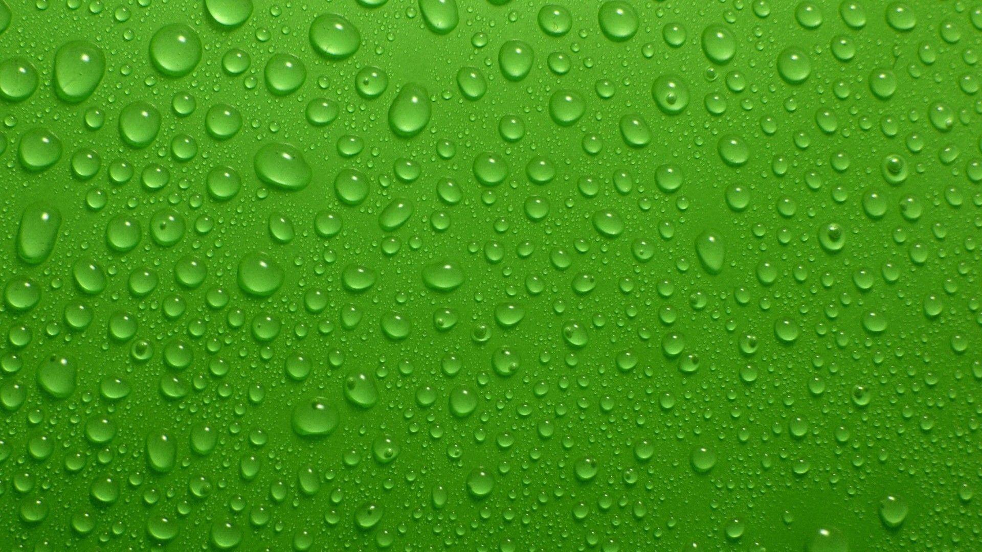 Green Colour Wallpapers - Top Free Green Colour Backgrounds ...