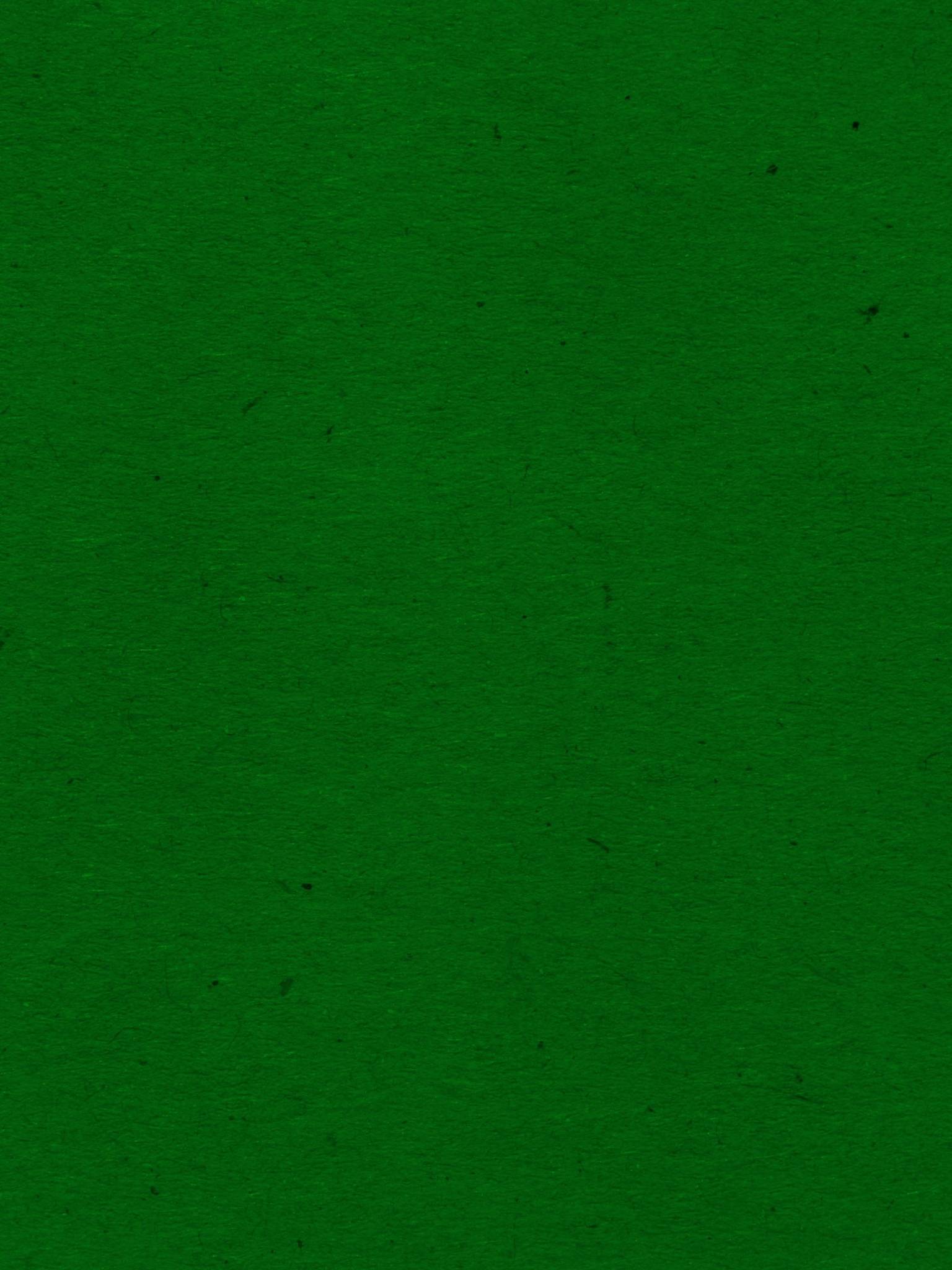 Green Colour Wallpapers Top Free Green Colour Backgrounds