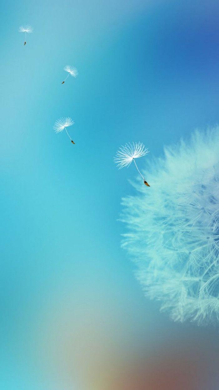 700x1245 Spring wallpaper