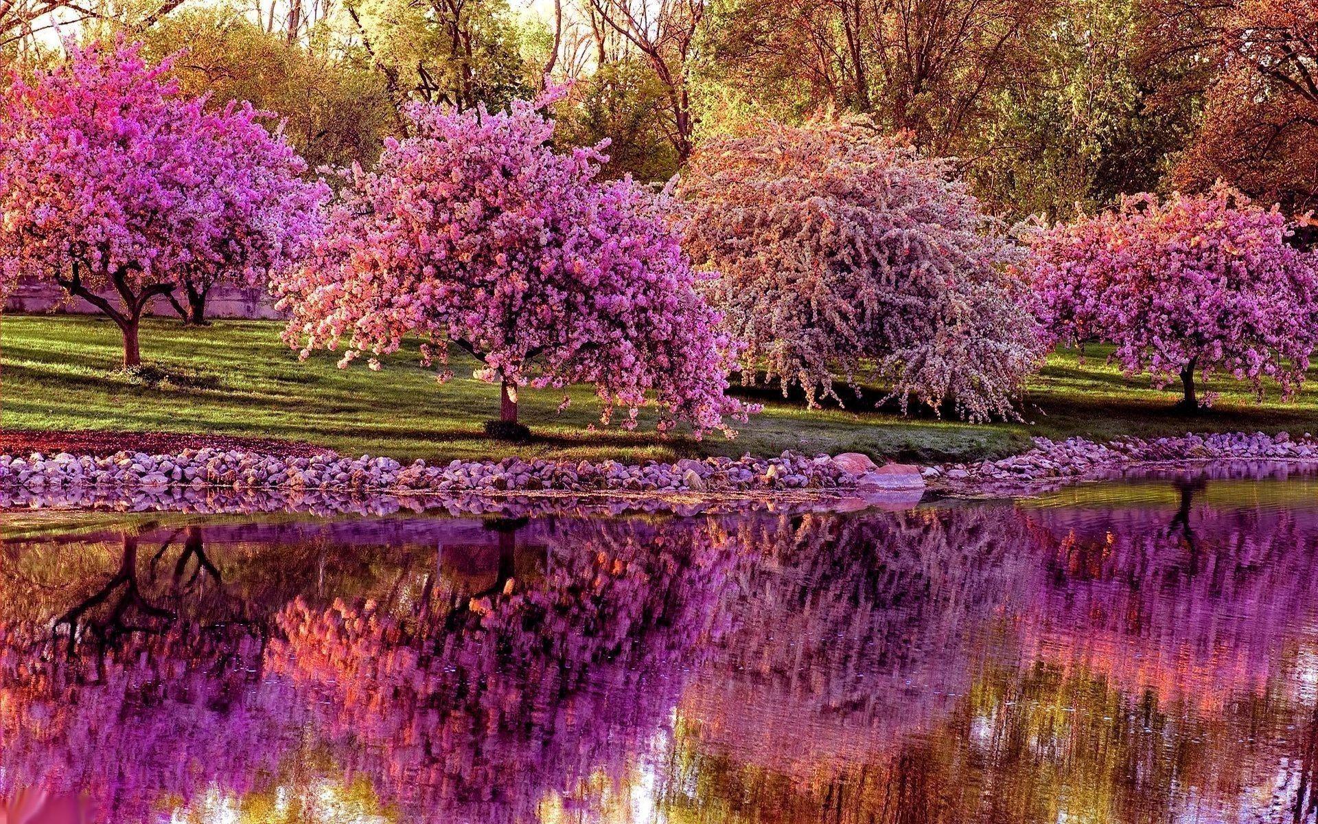 1920x1200 Spring Background For Desktop