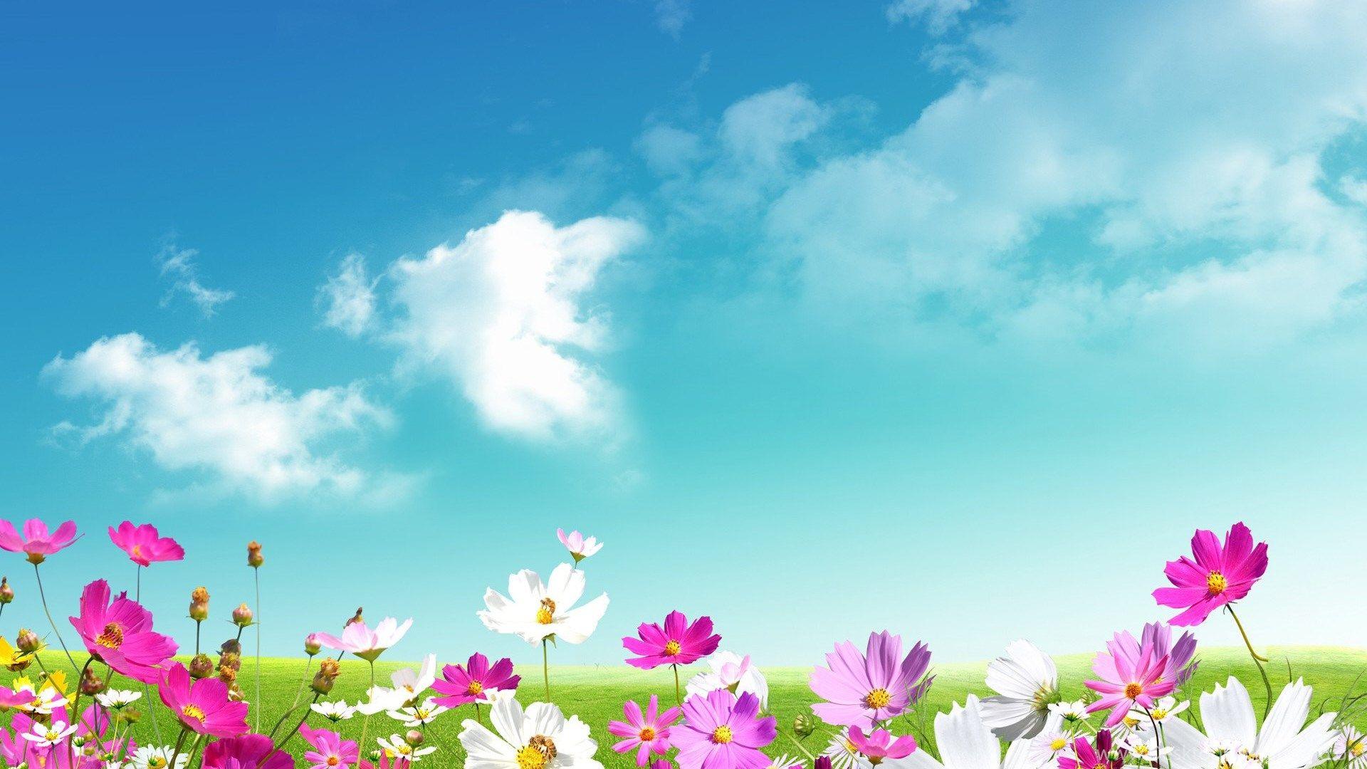 1920x1080 Spring PC Wallpaper Free Image Tbwnz.com Desktop Background