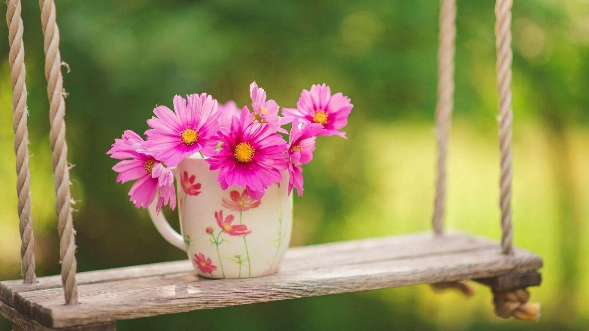 1920x1080 Early Spring Desktop Wallpaper Cute Wallpaper