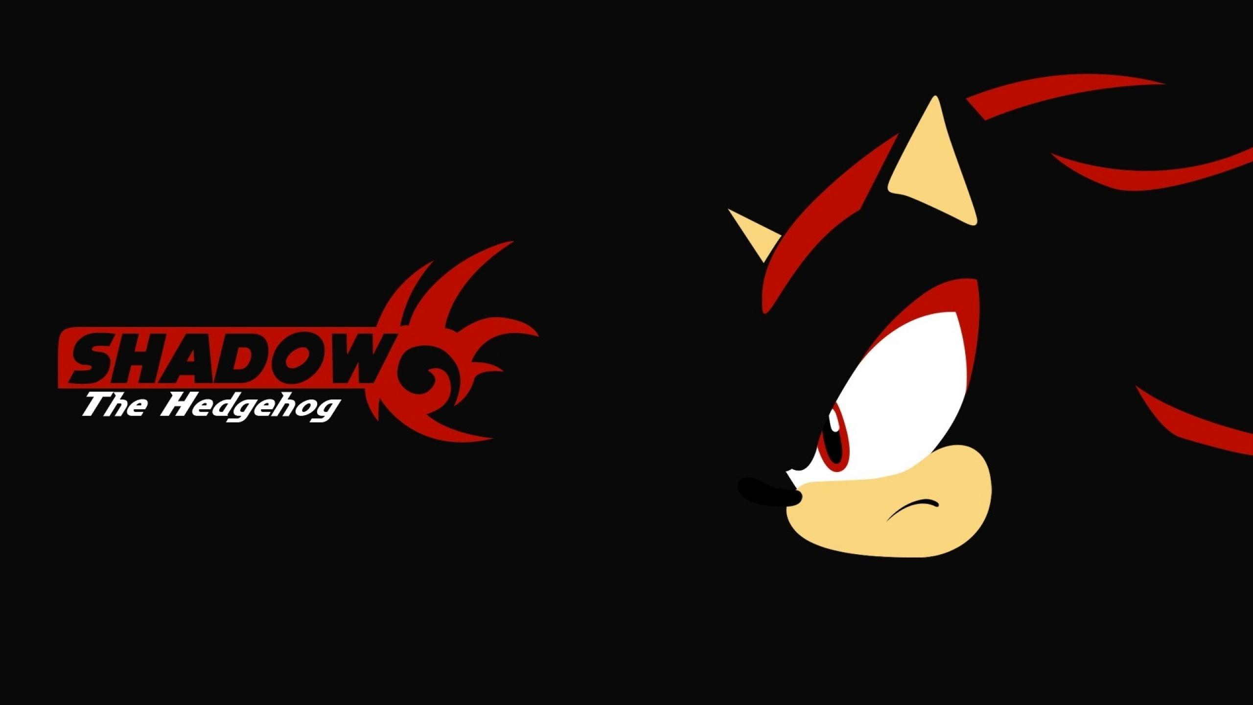 2560x1440 Sombra el erizo HD Wallpaper 17 X 1440. Shadow the hedgehog, Shadow, Gaming wallpaper hd