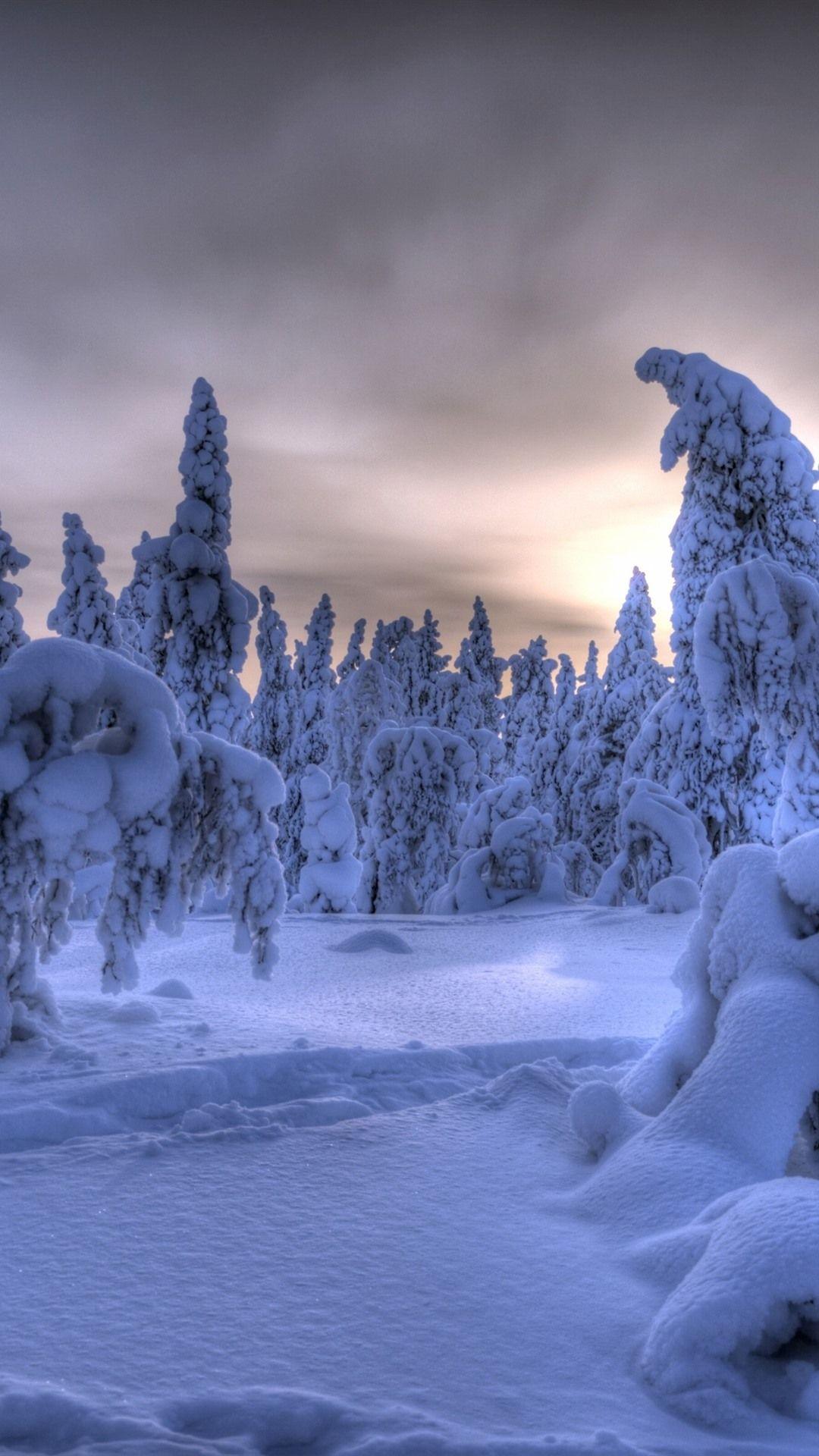 Wallpaper : Finland, cold, snow, hut, winter, sky, nature, aurorae  1920x1280 - WallpaperManiac - 1730017 - HD Wallpapers - WallHere