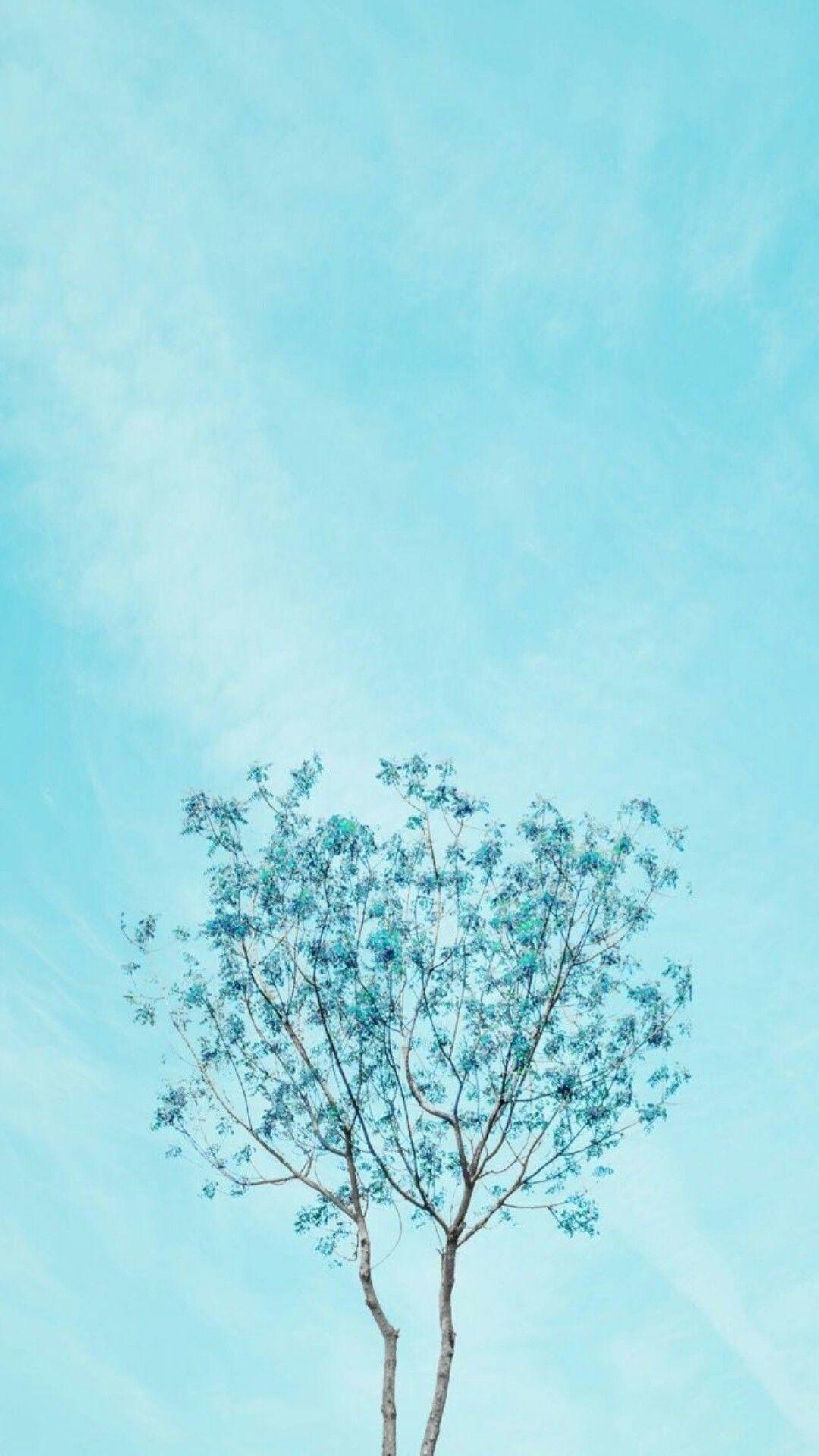1080x1920 Pastel Mobile Wallpaper