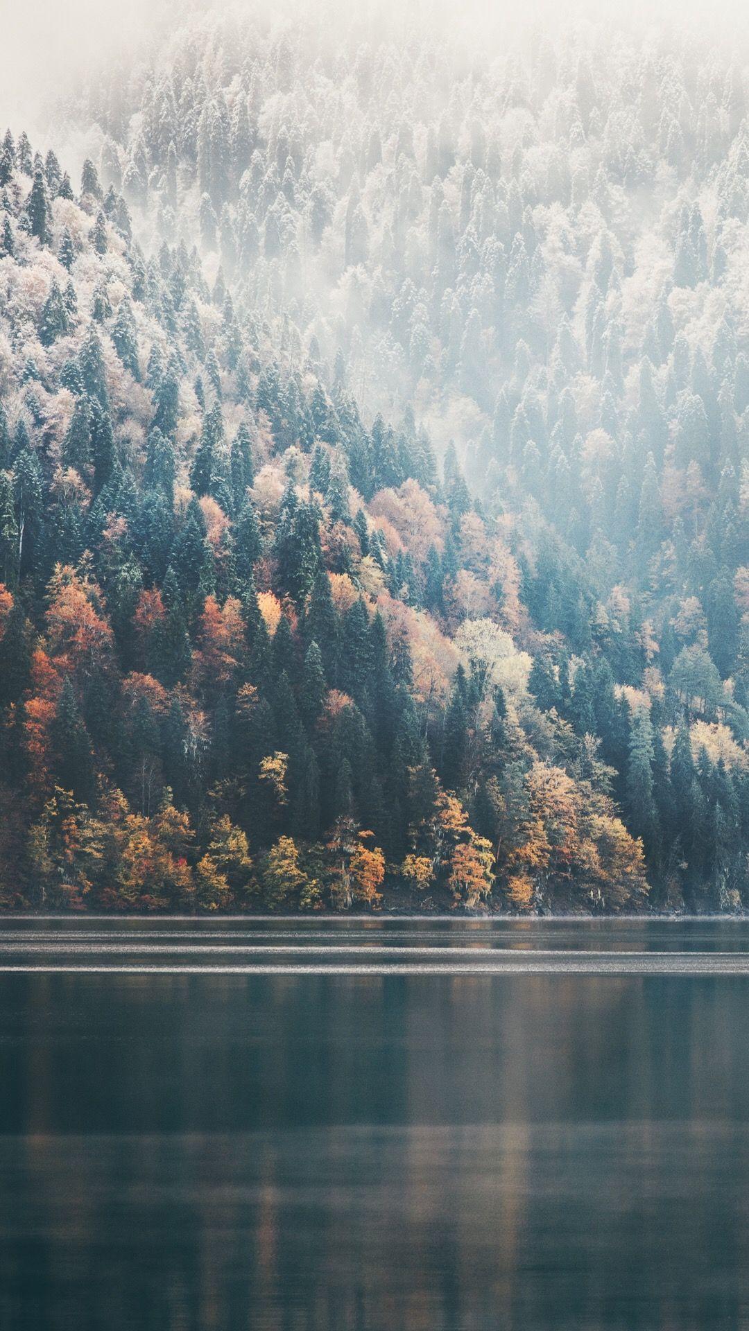 1080x1920 Fog hình nền