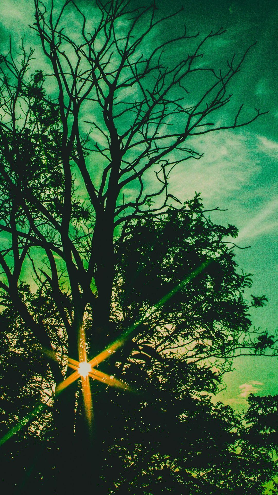 1080x1920 Fantasy Twilight Silhouette #iPhone #plus #Wallpaper. iPhone 6 wallpaper, iPhone 5s wallpaper, iPhone wallpaper