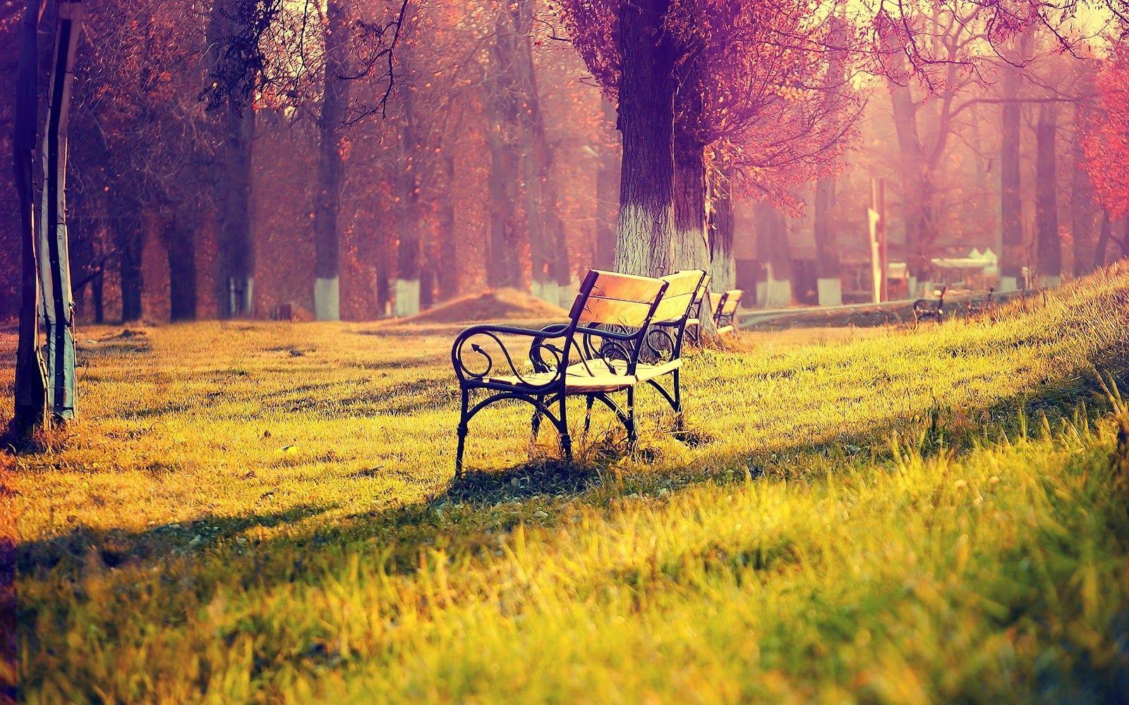 1600x1000 Pretty tumblr background for girls