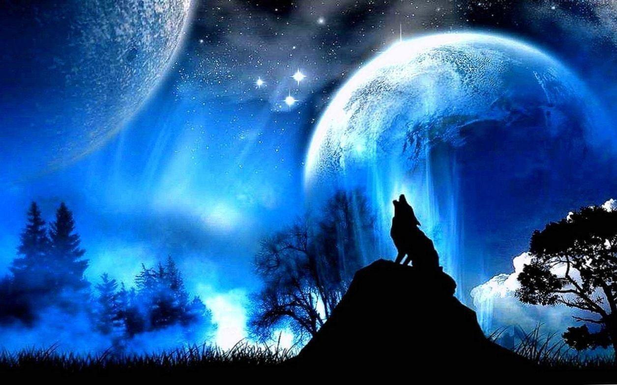 1255x784 Free Wolf Fantasy Wallpaper Anime HD Wallpaper.Pro