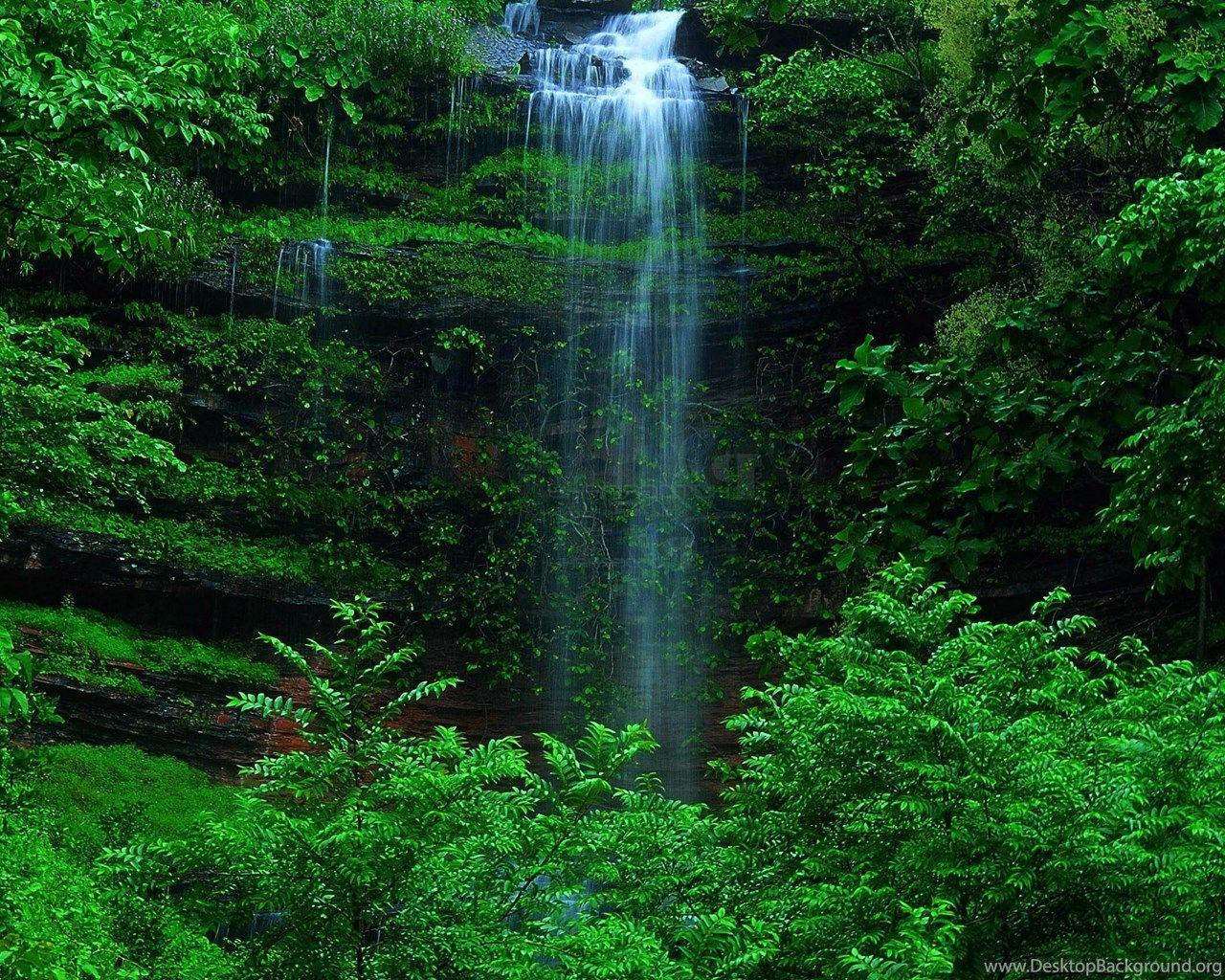 1280x1024 Green Forest Best Wallpaper Image Desktop Background