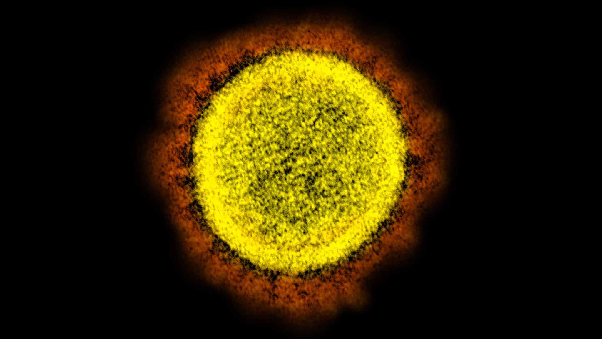 2048x1152 Fed By Confusion And Denial, A Slow Motion Disaster Accelerates