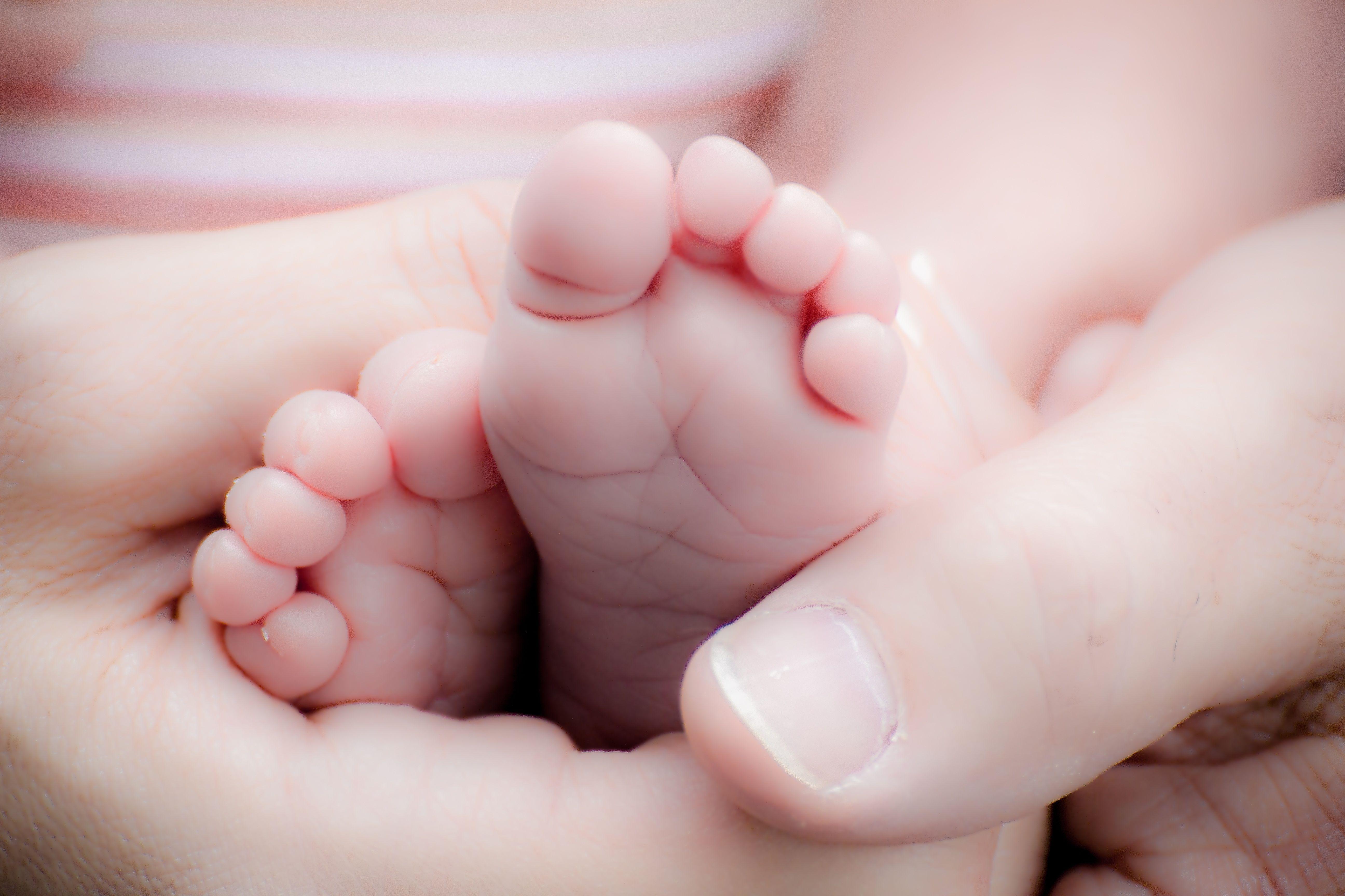 5184x3456 Person Holding Baby's Feet · Free