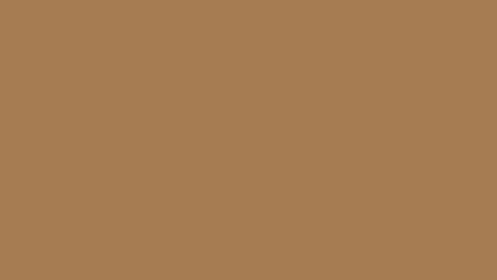 Hình nền thẩm mỹ màu nâu đồng bằng 1600x900