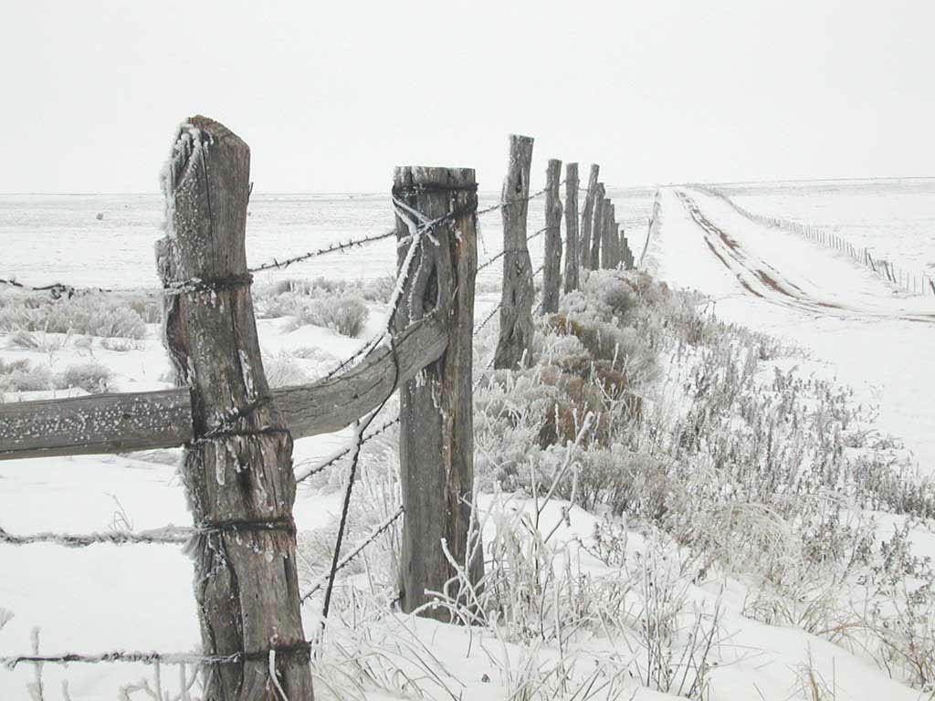 how-topsy-turvy-polar-vortex-brought-record-freeze-to-texas