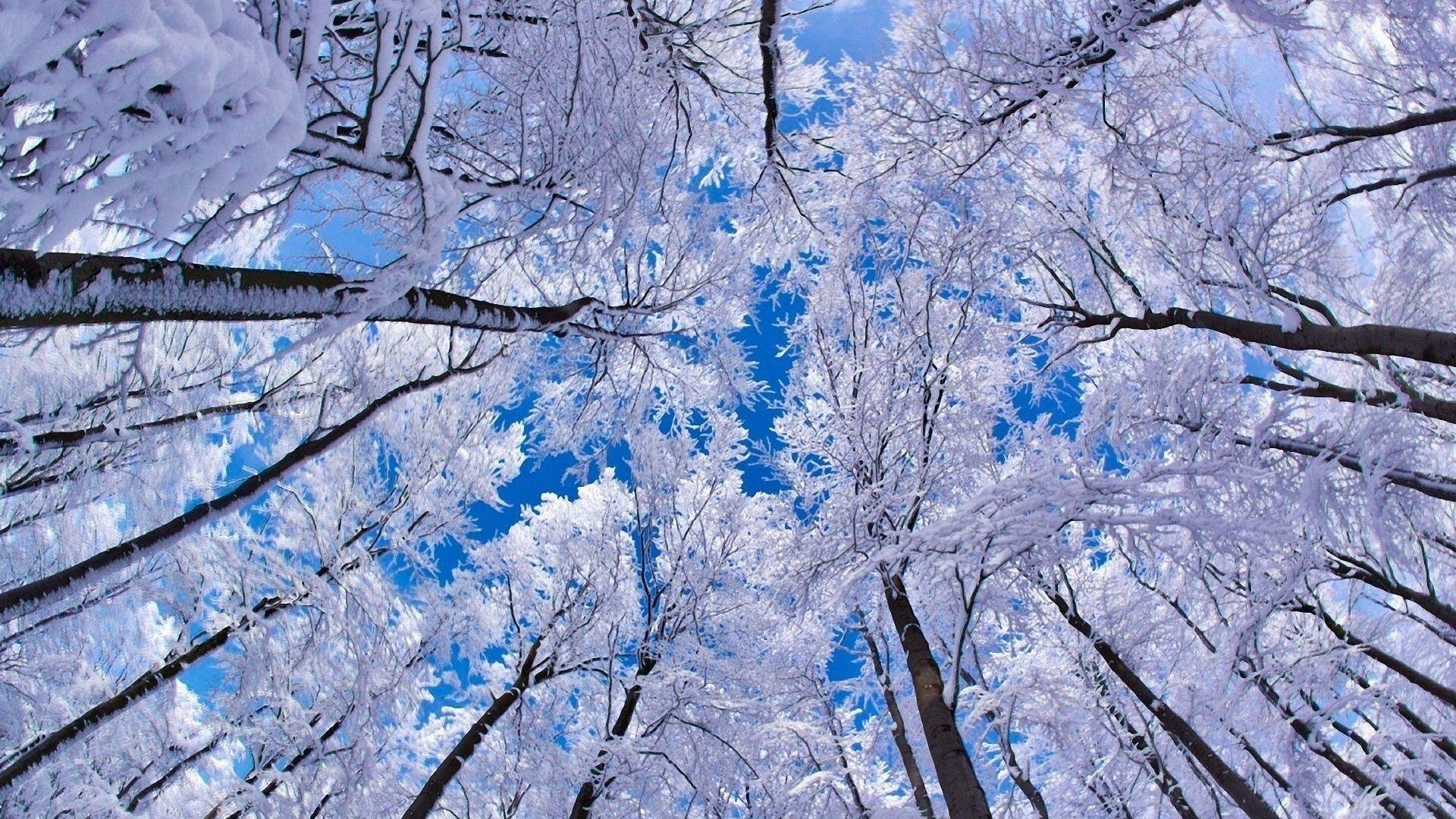 1920x1080 Mother Nature's Movie. Winter wallpaper desktop, Winter background, Winter wallpaper