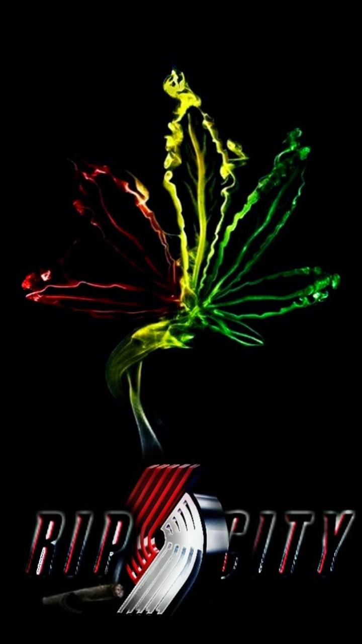 720x1280 Rip City wallpaper