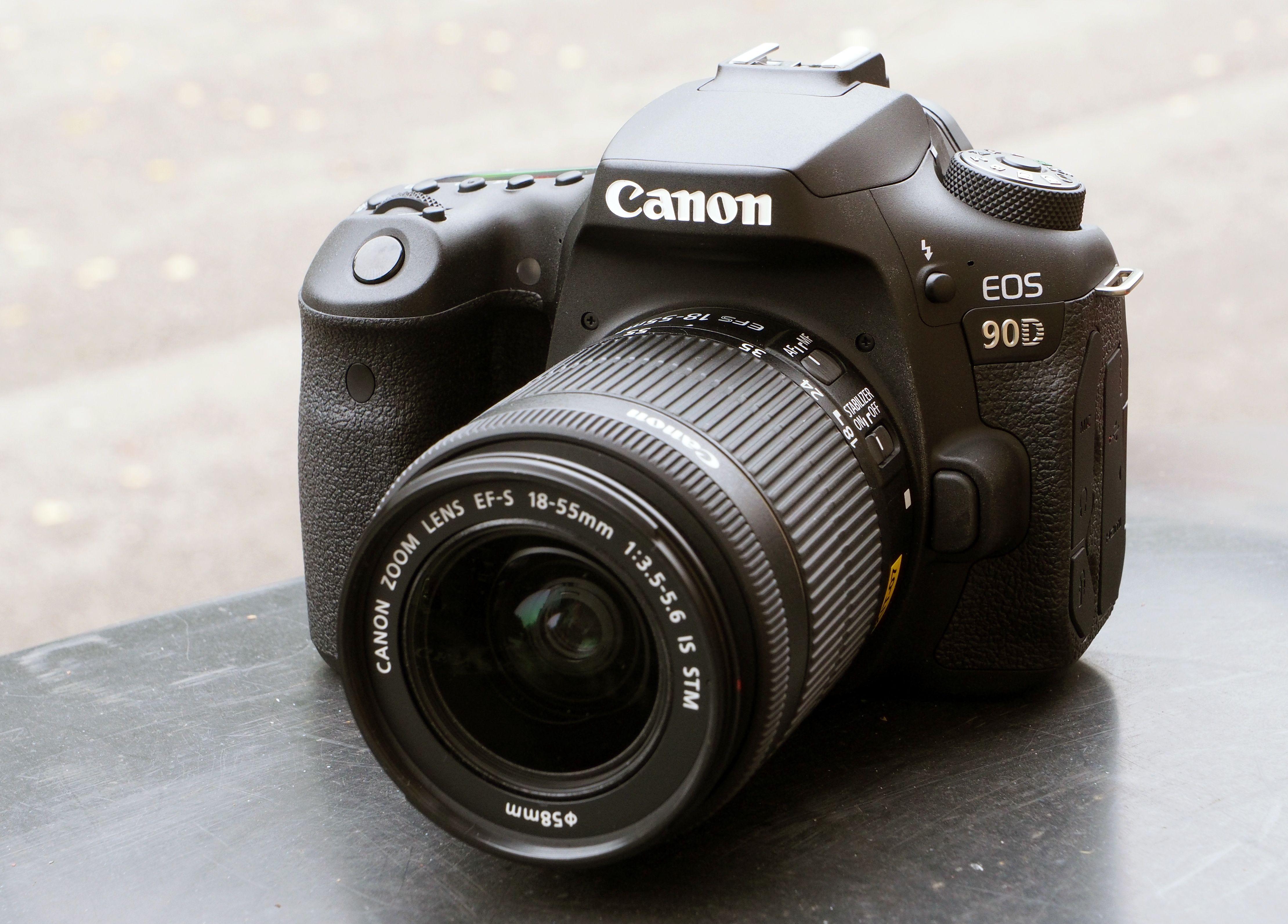 4440x3186 Full Size Canon EOS 90D Sample Photo
