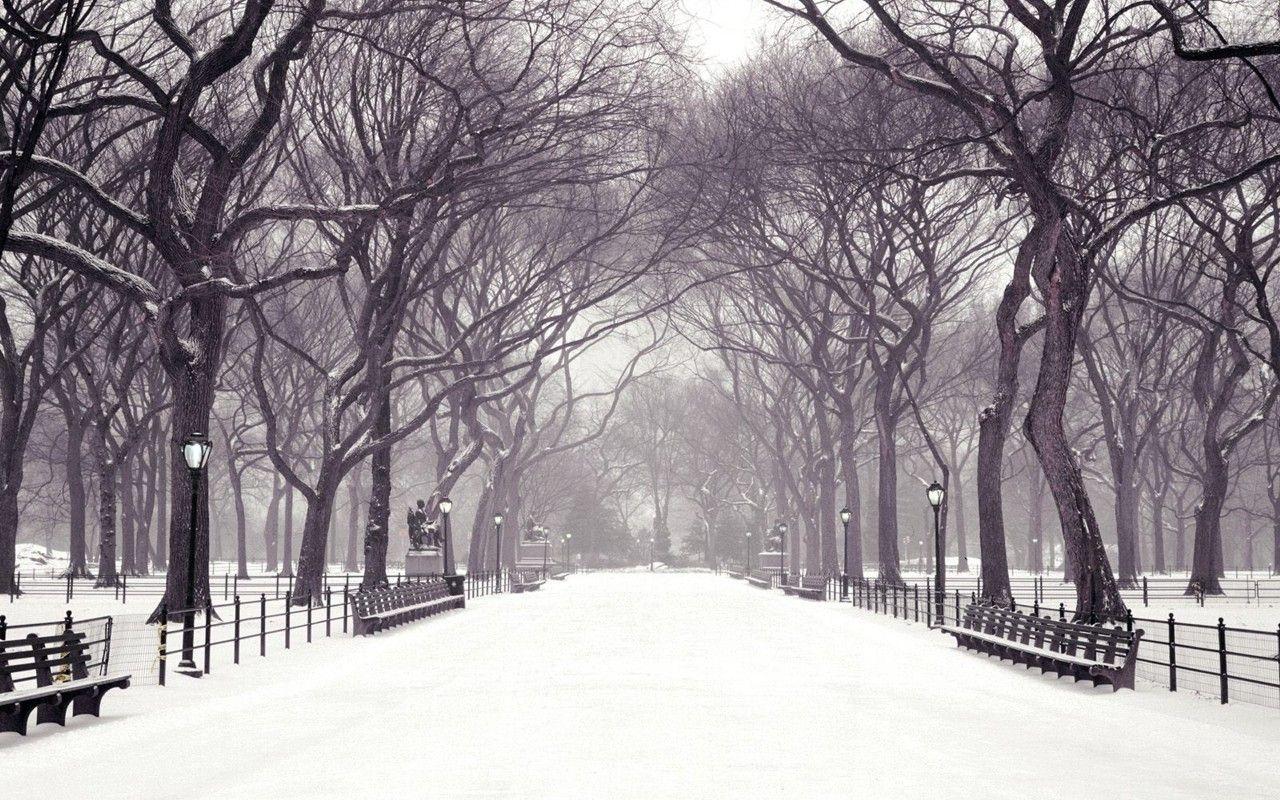1280x800 Winter Background Scenes