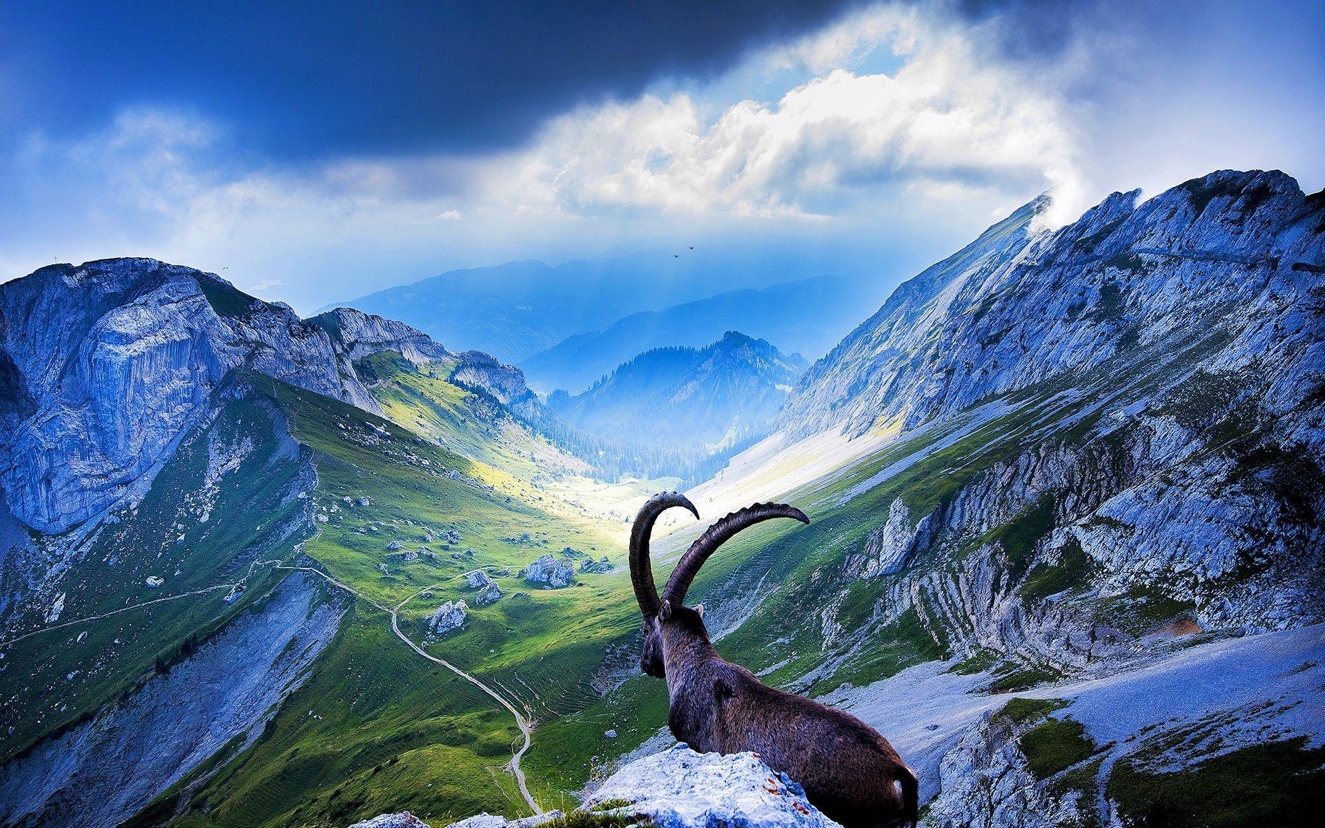 1920x1200 Switzerland Wallpaper, Picture, Image