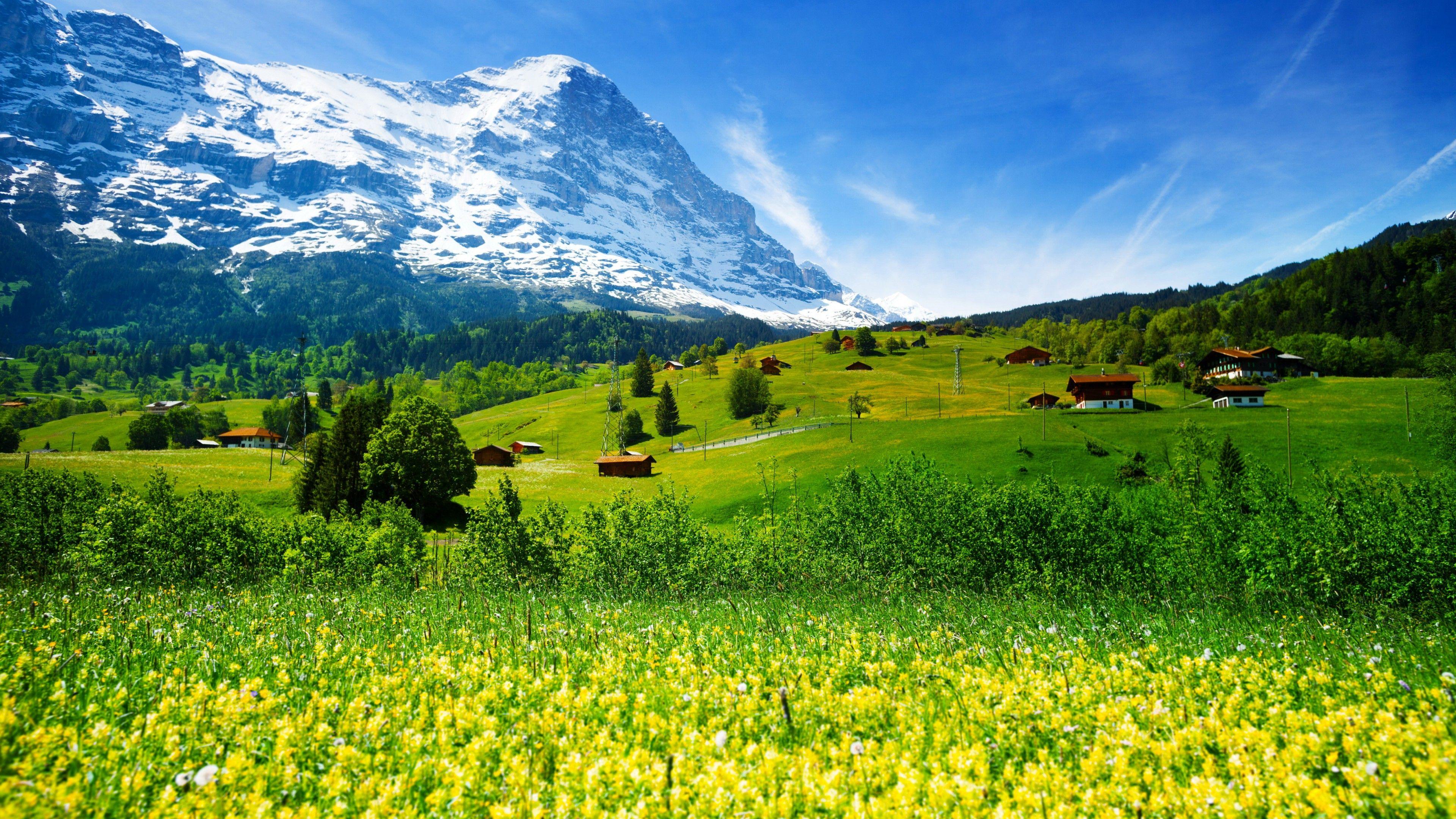 3840x2160 Wallpaper Switzerland, 5k, 4k wallpaper, mountains, meadows, wildflowers, Nature
