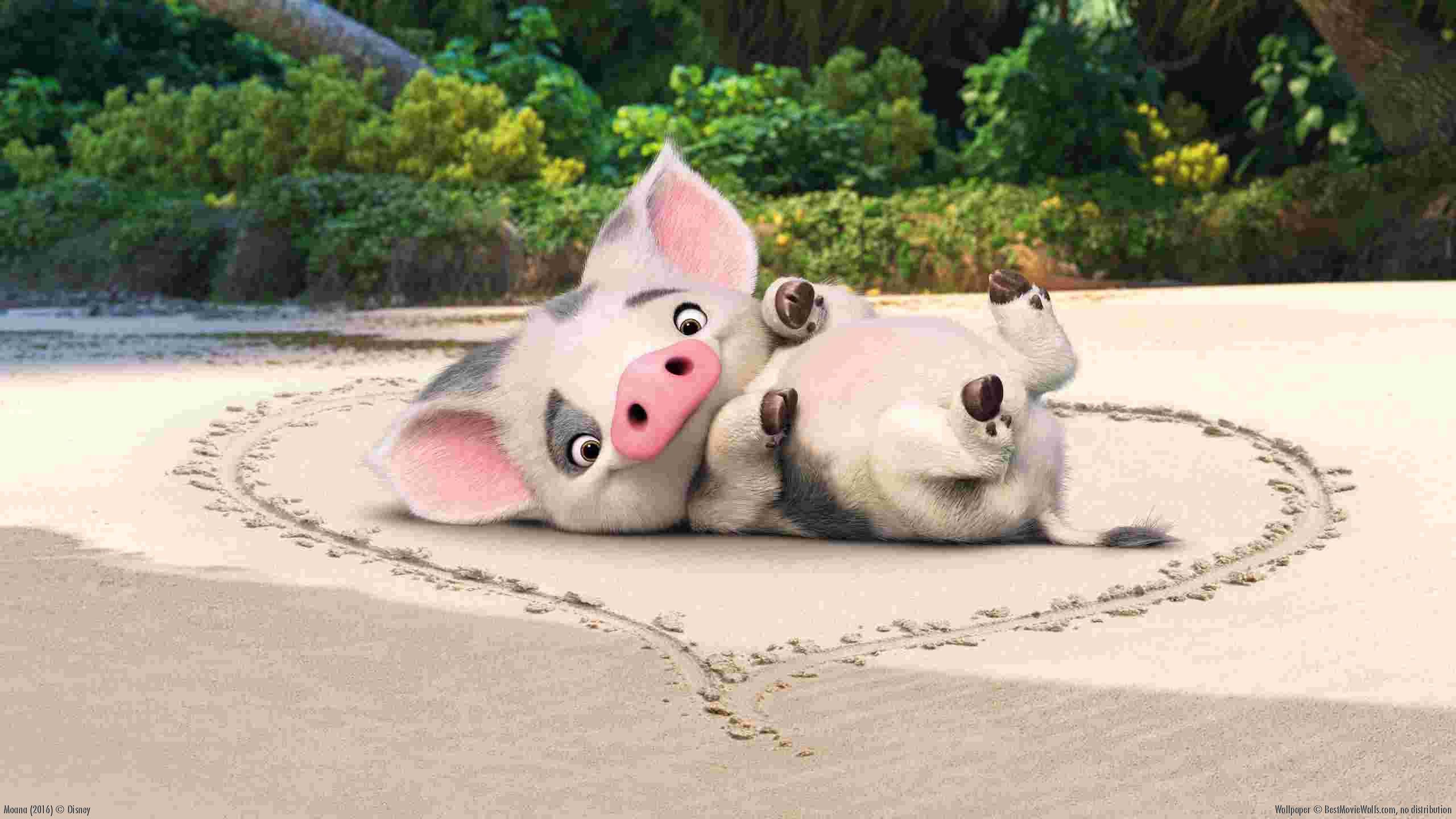Pua Wallpapers - Top Free Pua Backgrounds - WallpaperAccess