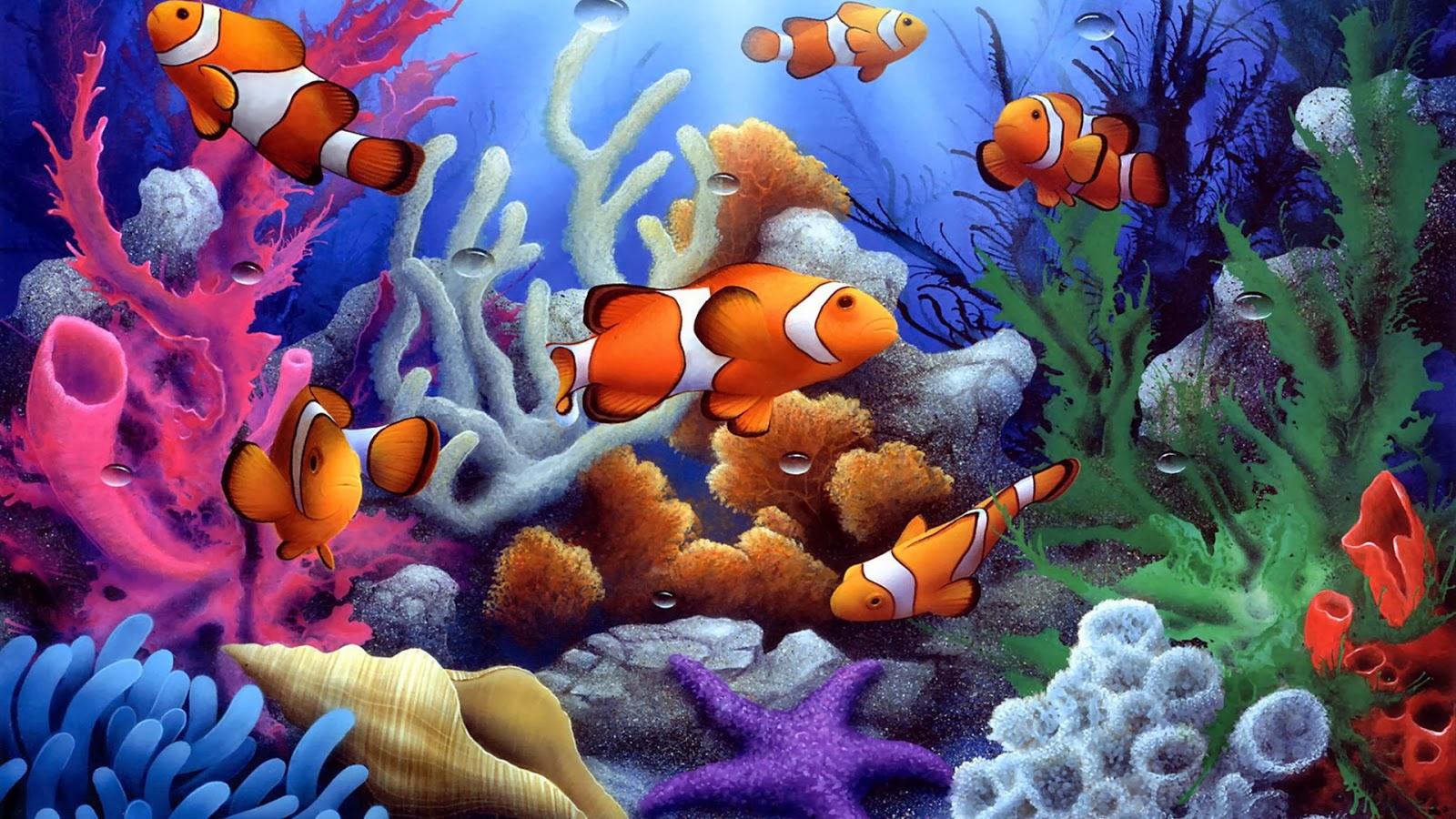 1600x900 HD Saltwater Fish Wallpaper (1600x900)