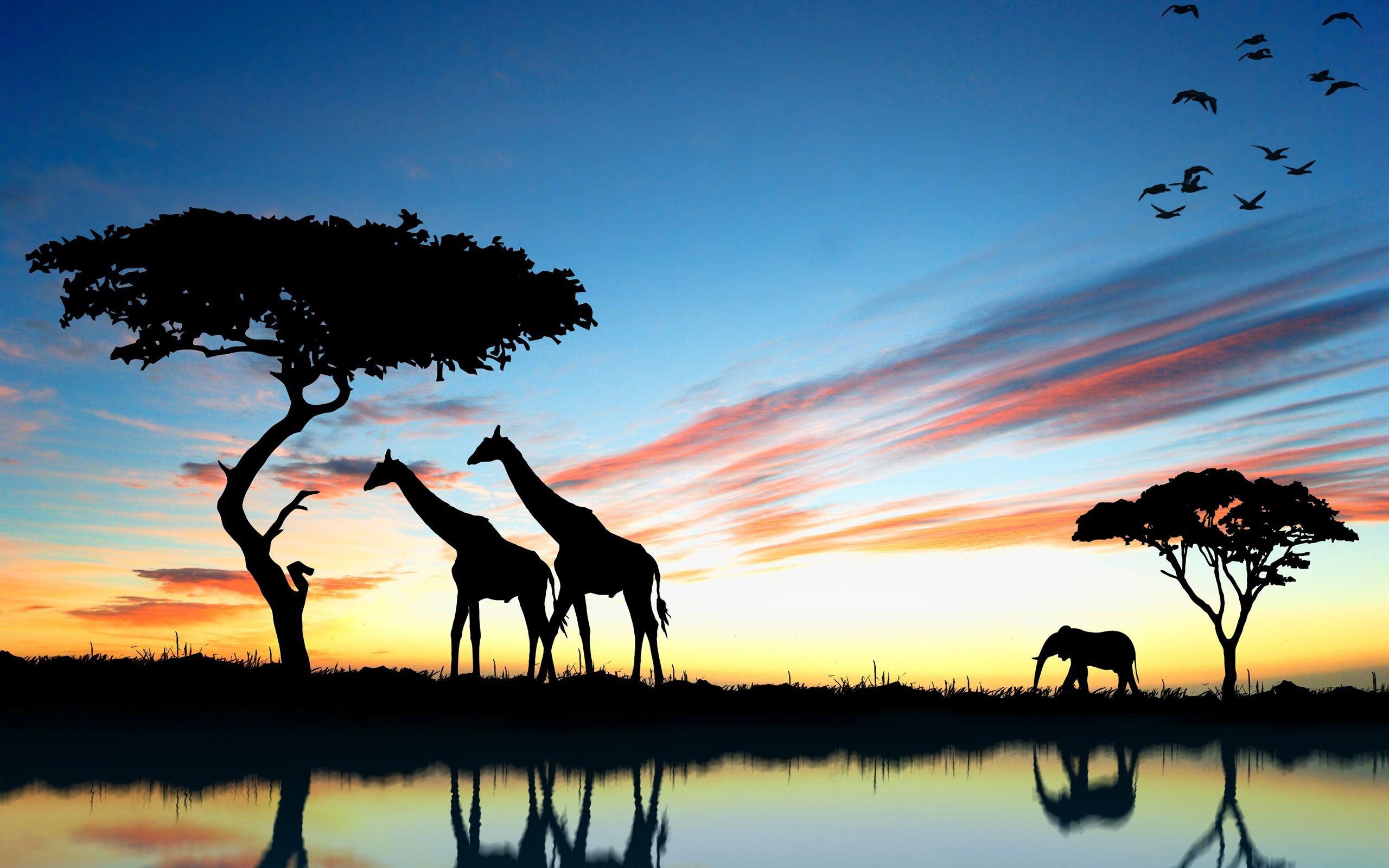 2560x1600 Wallpaper Africa giraffe and elephant at sunset, lake reflection 2560x1600 HD Picture, Image