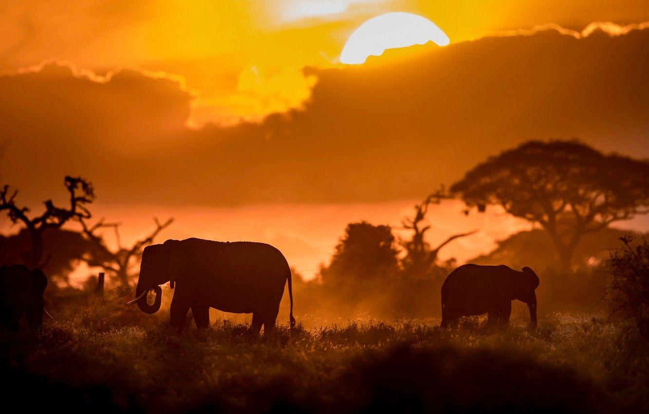 Kenya Desktop Wallpapers - Top Free Kenya Desktop Backgrounds ...