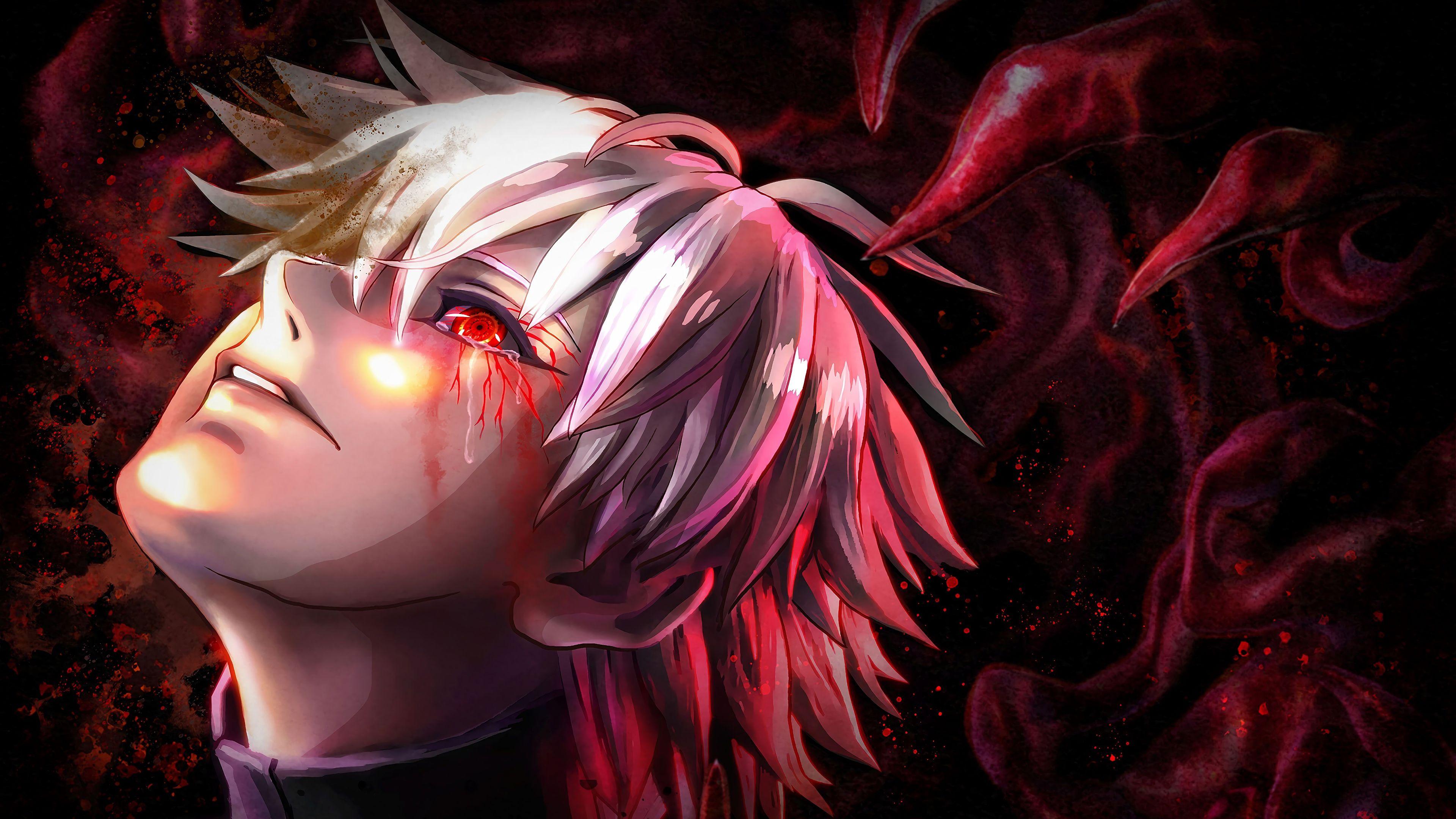 Kaneki Ken Tokyo Ghoul 4k HD Anime 4k Wallpapers Images Backgrounds  Photos and Pictures