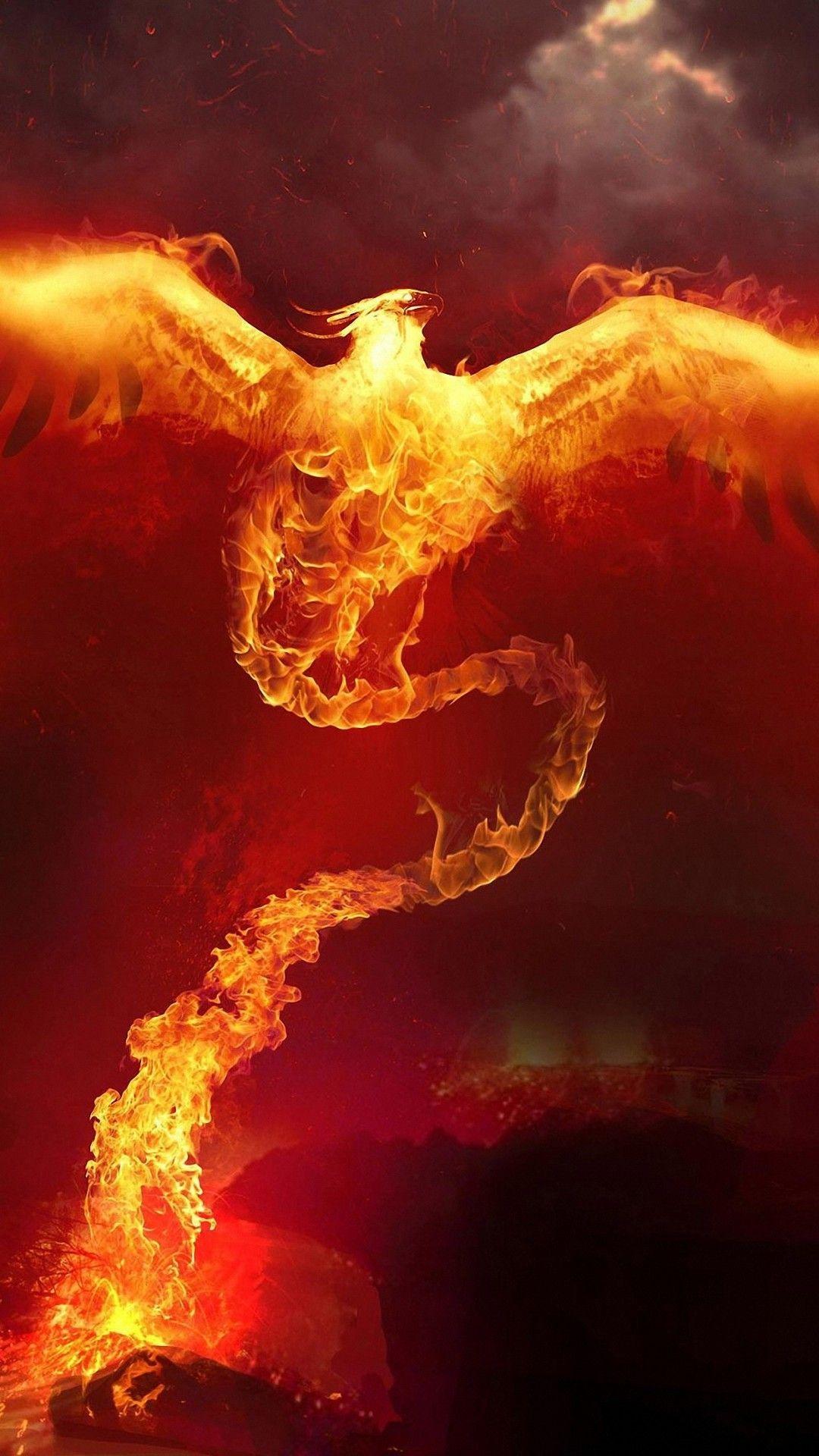1080x1920 1080x HD Awesome Fire Phoenix iPhone 6 Plus Wallpaper Wallpaper Fire