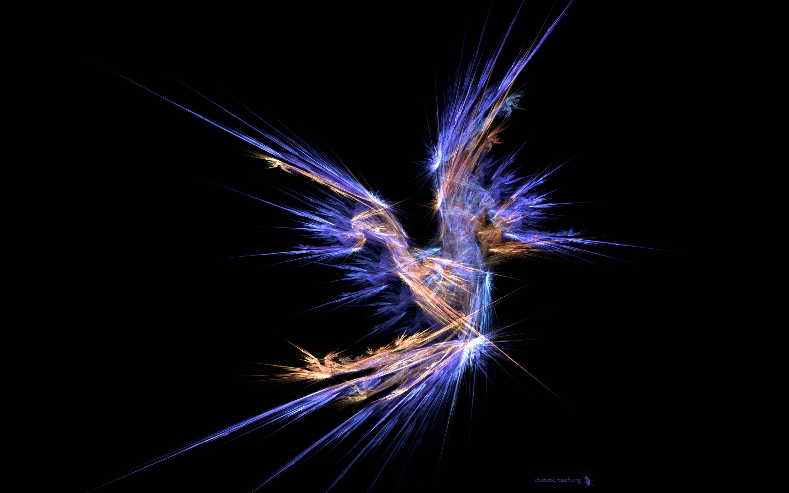 2560x1600 Black Phoenix Wallpaper