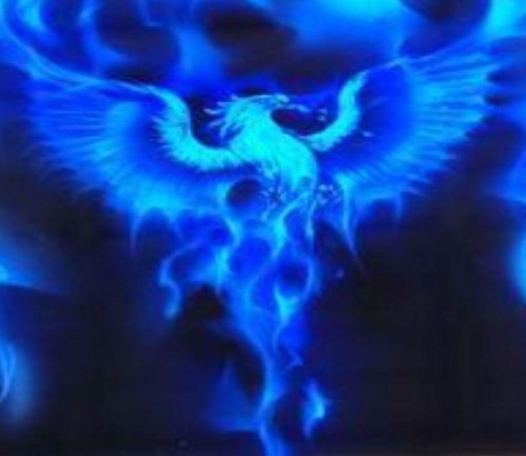 1023x887 atrobuet phoenix Photo: blue phoenix. Phoenix tattoo, Phoenix rising, Blue flame tattoo