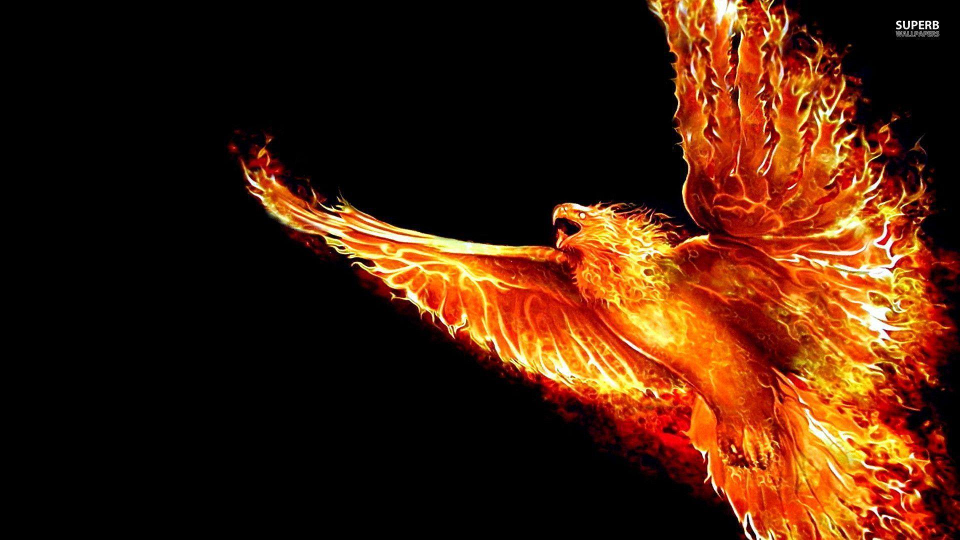 1920x1080 Phoenix Background. Evil Phoenix Wallpaper, Phoenix Bird Wallpaper and Phoenix Wright Wallpaper