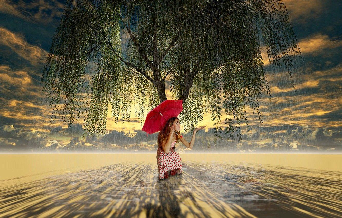 1332x850 Wallpaper tree, umbrella, art, girl, weeping willow image for desktop, section ситуации