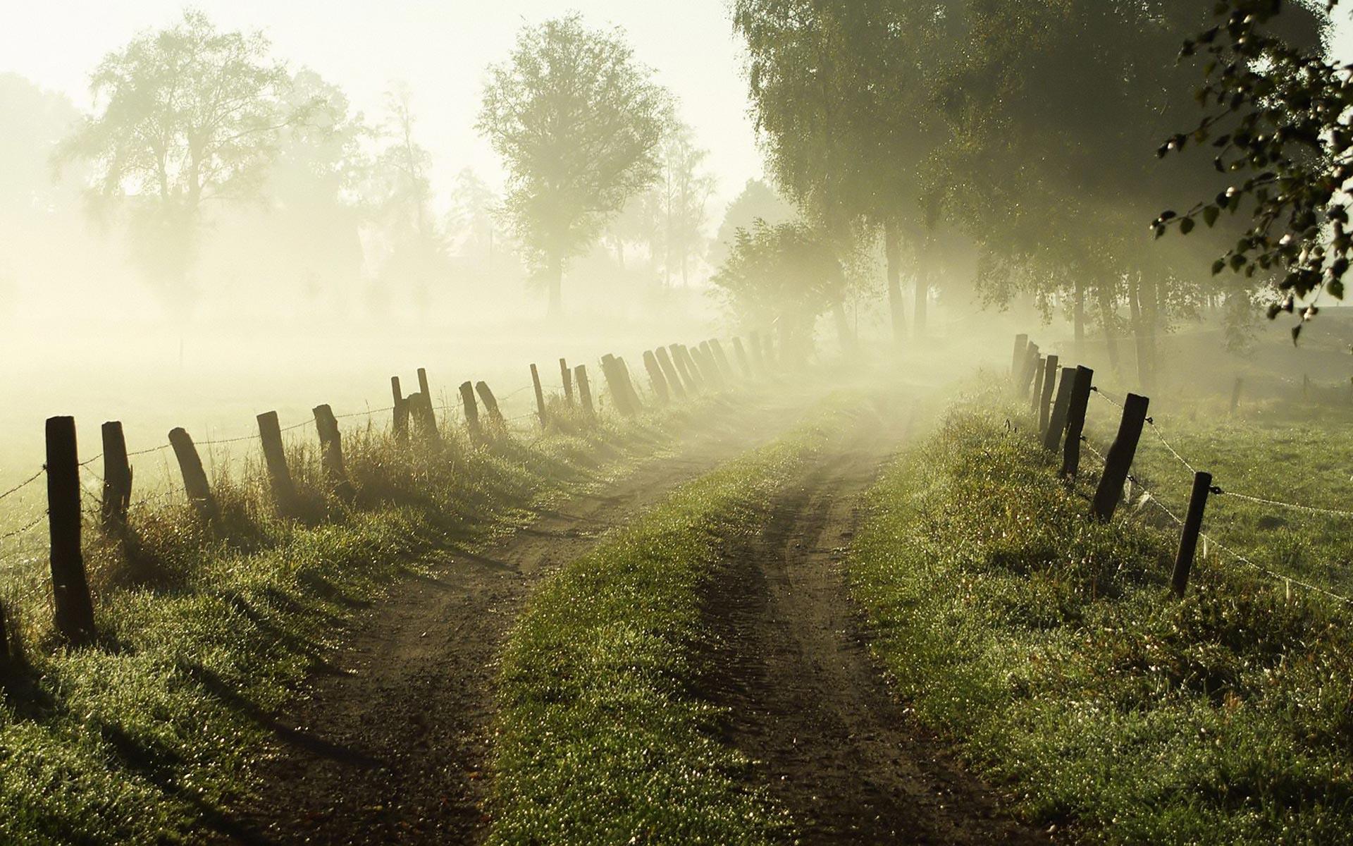 Early Morning Fog Wallpapers - Top Free Early Morning Fog Backgrounds -  WallpaperAccess