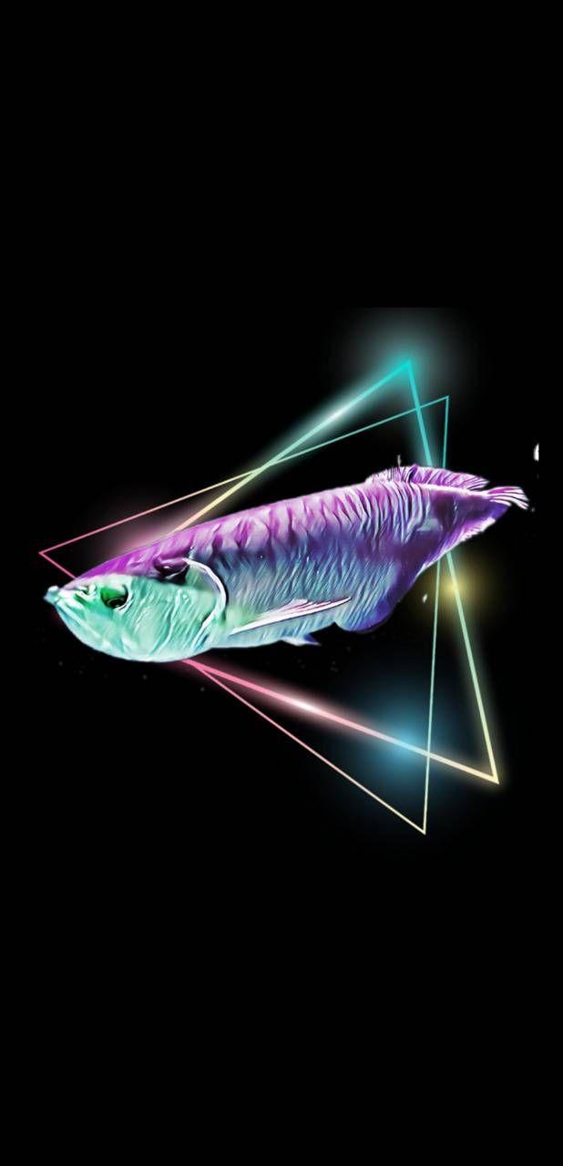618x1280 Silver arowana wallpaper