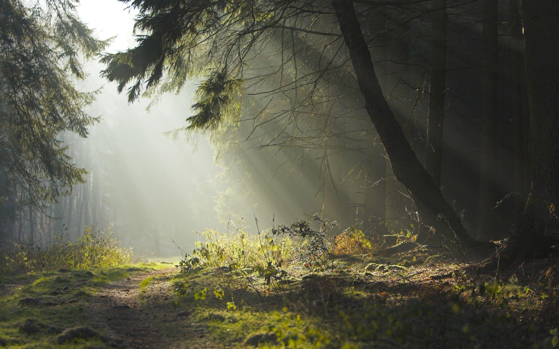 1920x1200 Download Free Modern Fog The Wallpaper 1920x1200px. HD