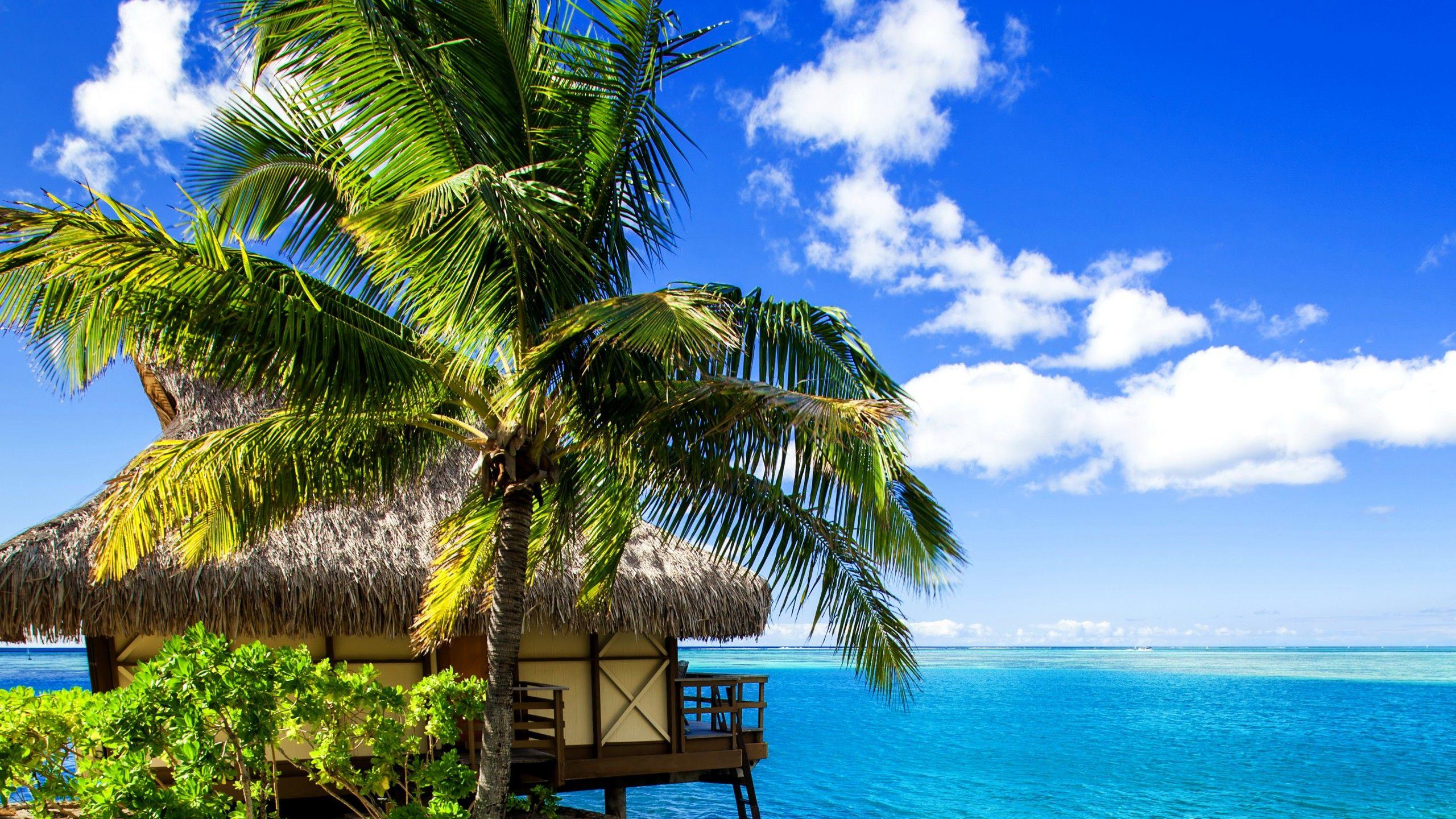 2560x1440 Wallpaper Maldives, 4k, HD wallpaper, holidays, vacation, travel, hotel, island, ocean, bungalow, beach, sky, OS
