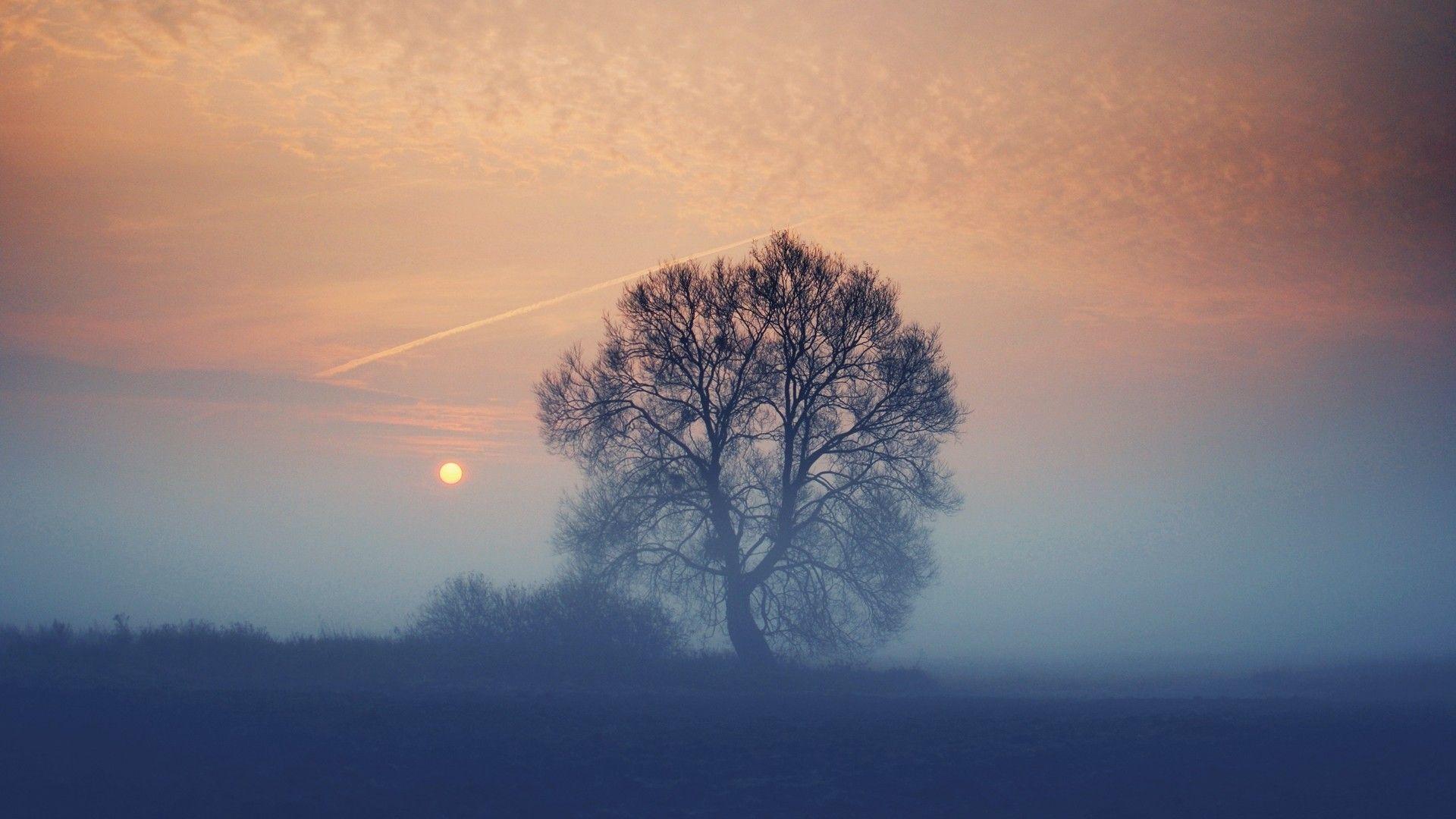 Fog Wallpapers - Top Free Fog Backgrounds - WallpaperAccess