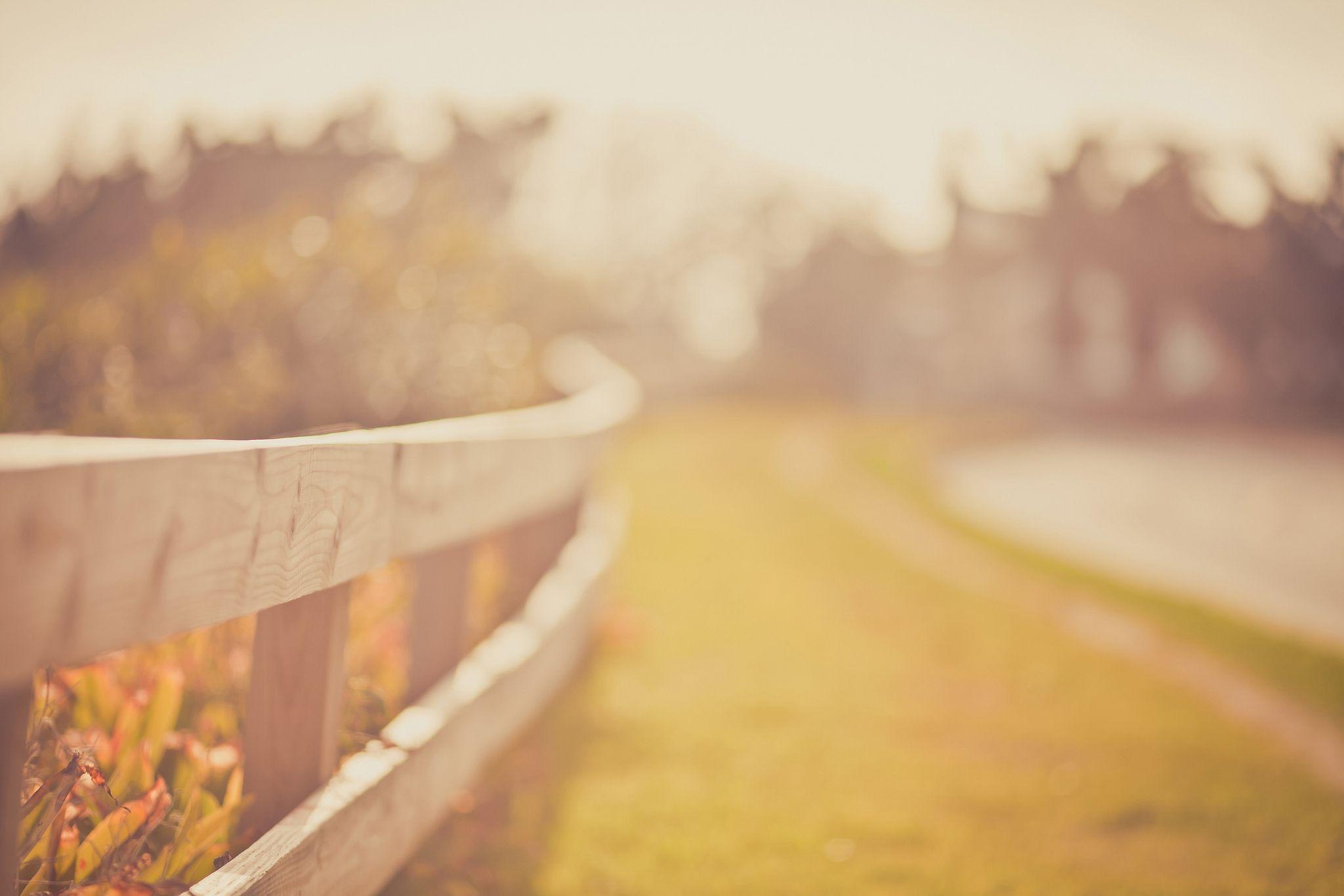 2048x1365 Out Of Focus Wallpaperx1365
