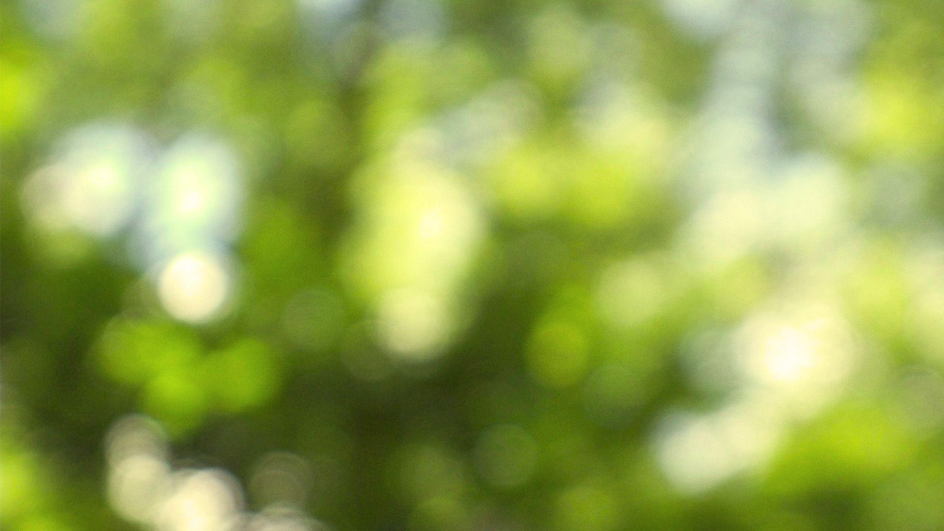 1920x1080 HD Out of Focus Wallpaper