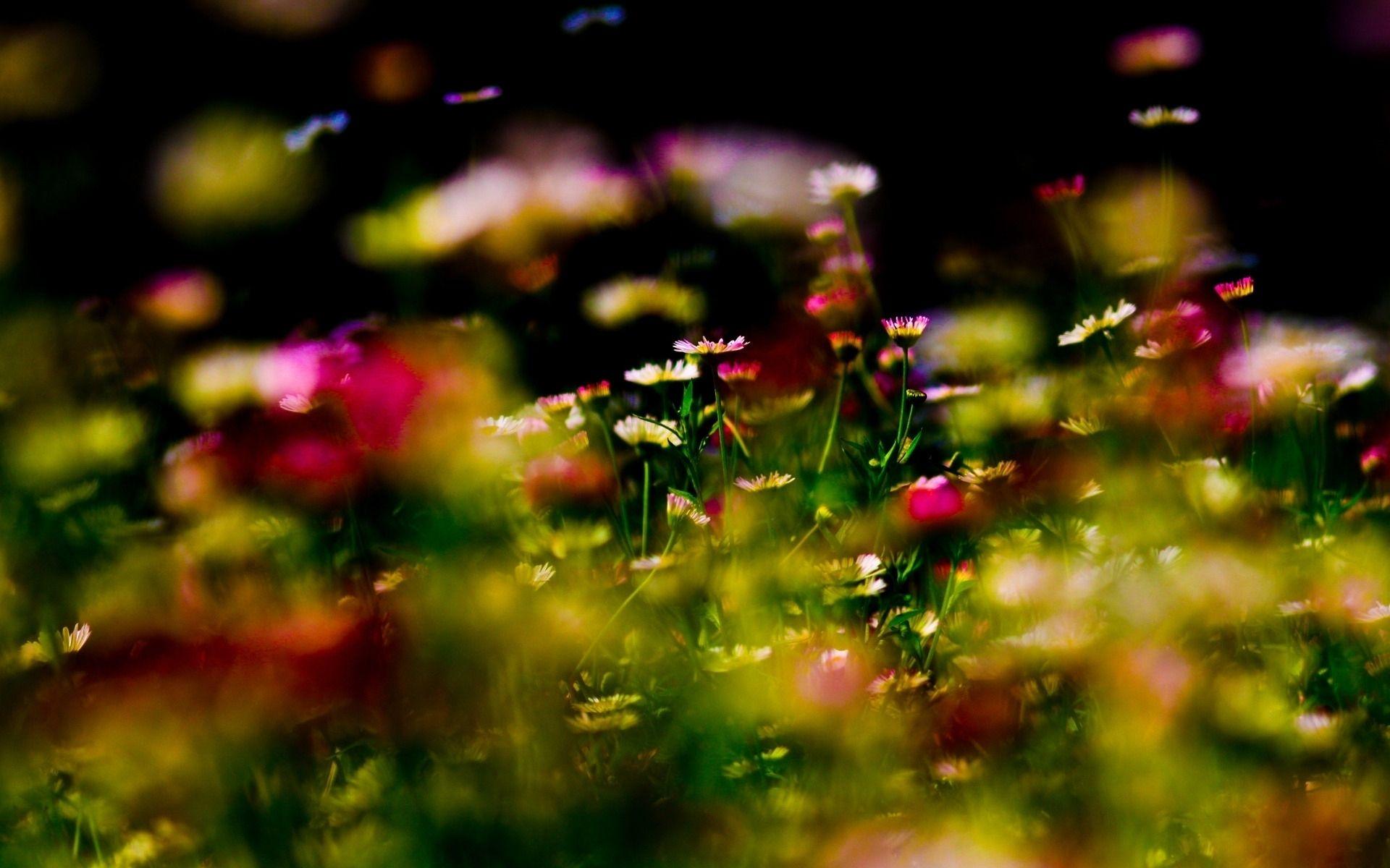 1920x1200 Cool Focus Wallpaper 37857 1920x1200px