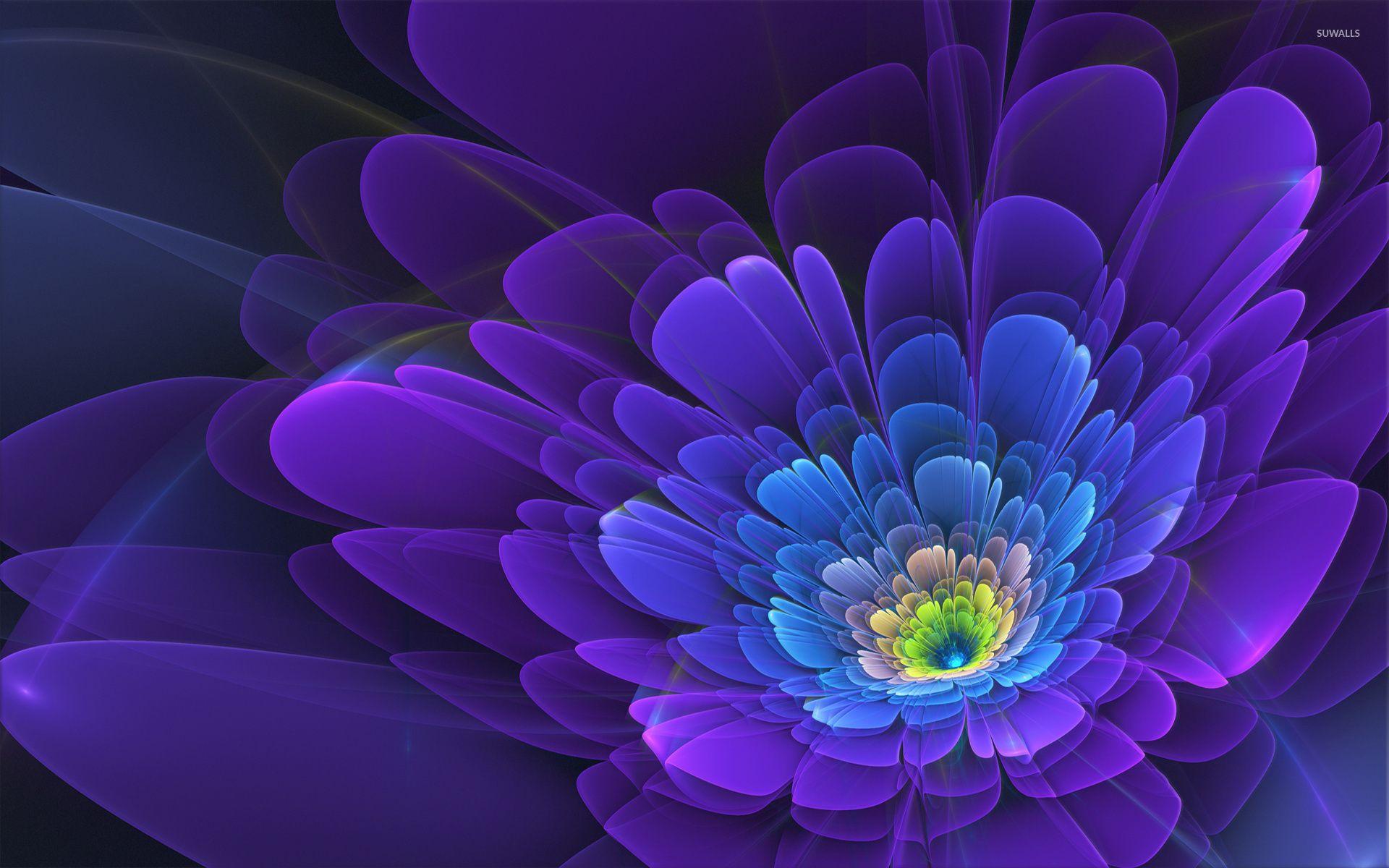 1920x1200 Beautiful flower wallpaper wallpaper