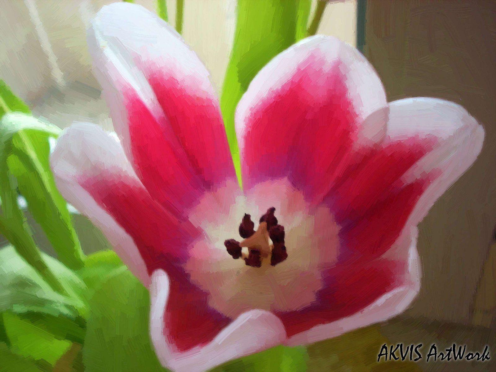 1600x1200 Amazing Wallpaper Free: Amazing Flower Wallpaper