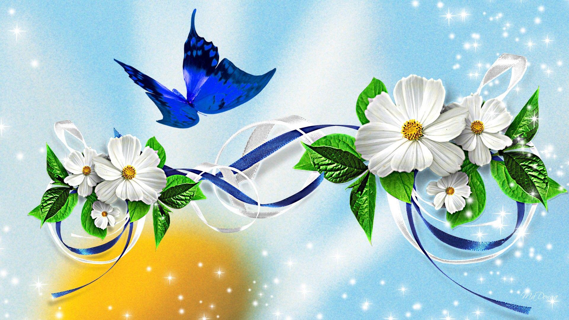 1920x1080 Beautiful Flower Wallpaper Image For Download