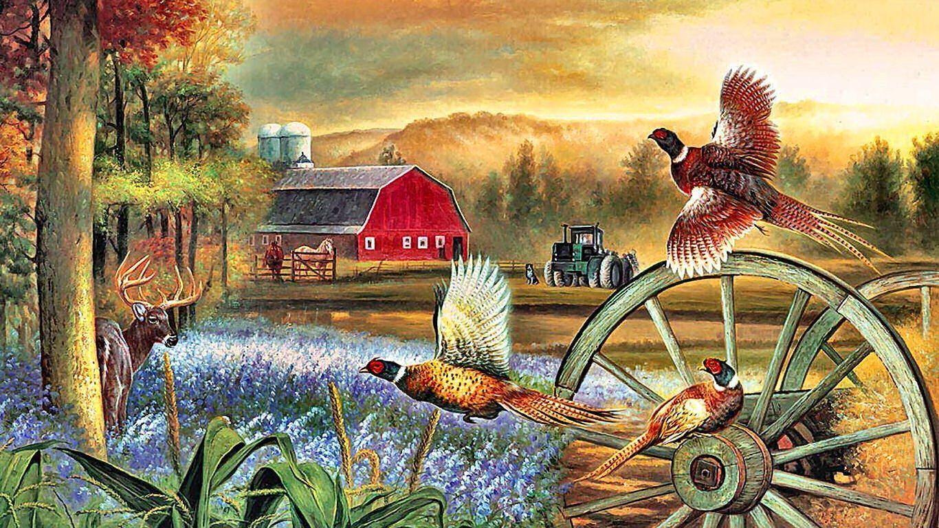 1366x768 Wallpaper Tagged With Pheasant: Monal China Altitude Pheasant Asian